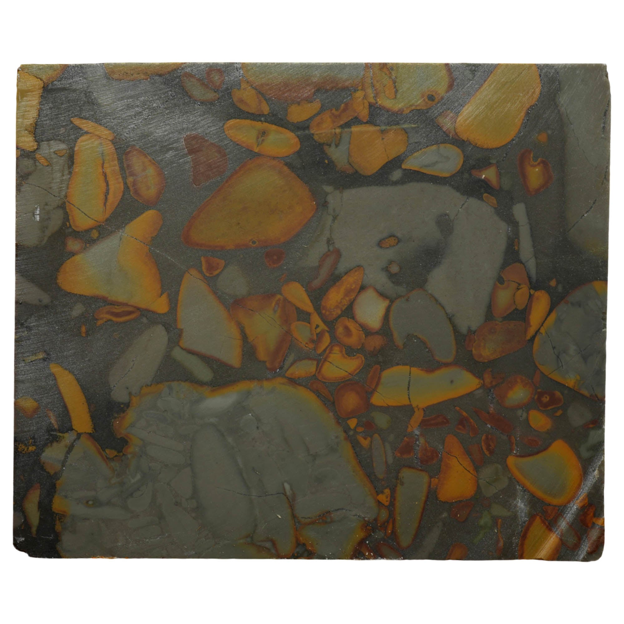 Bamboo Jasper Slab Dry – High-Contrast Conglomerate Orb Pattern Indonesia #3963-Photo5