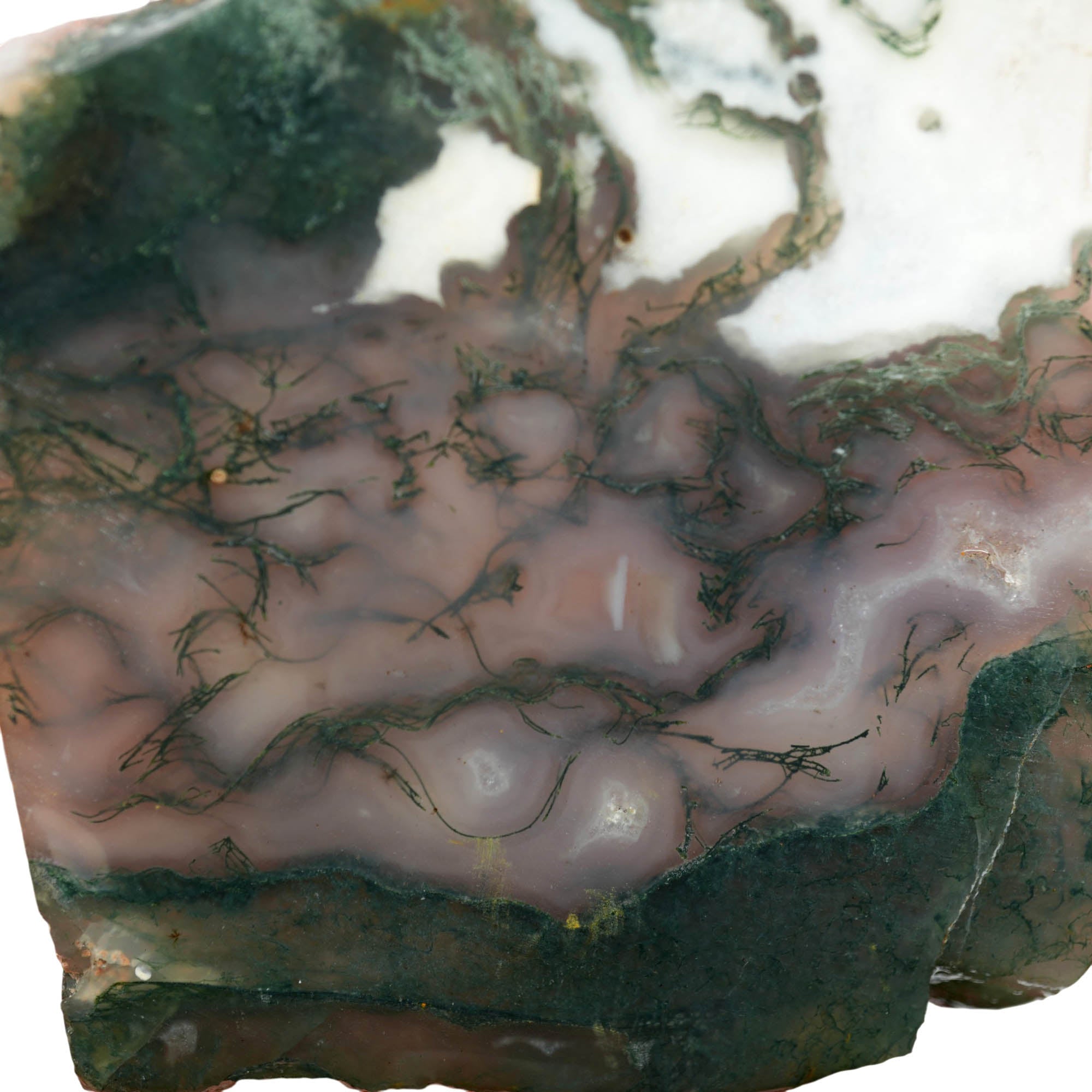 India Tree Moss Agate Slab – Green Moss Translucent Backlit #3964-Photo2