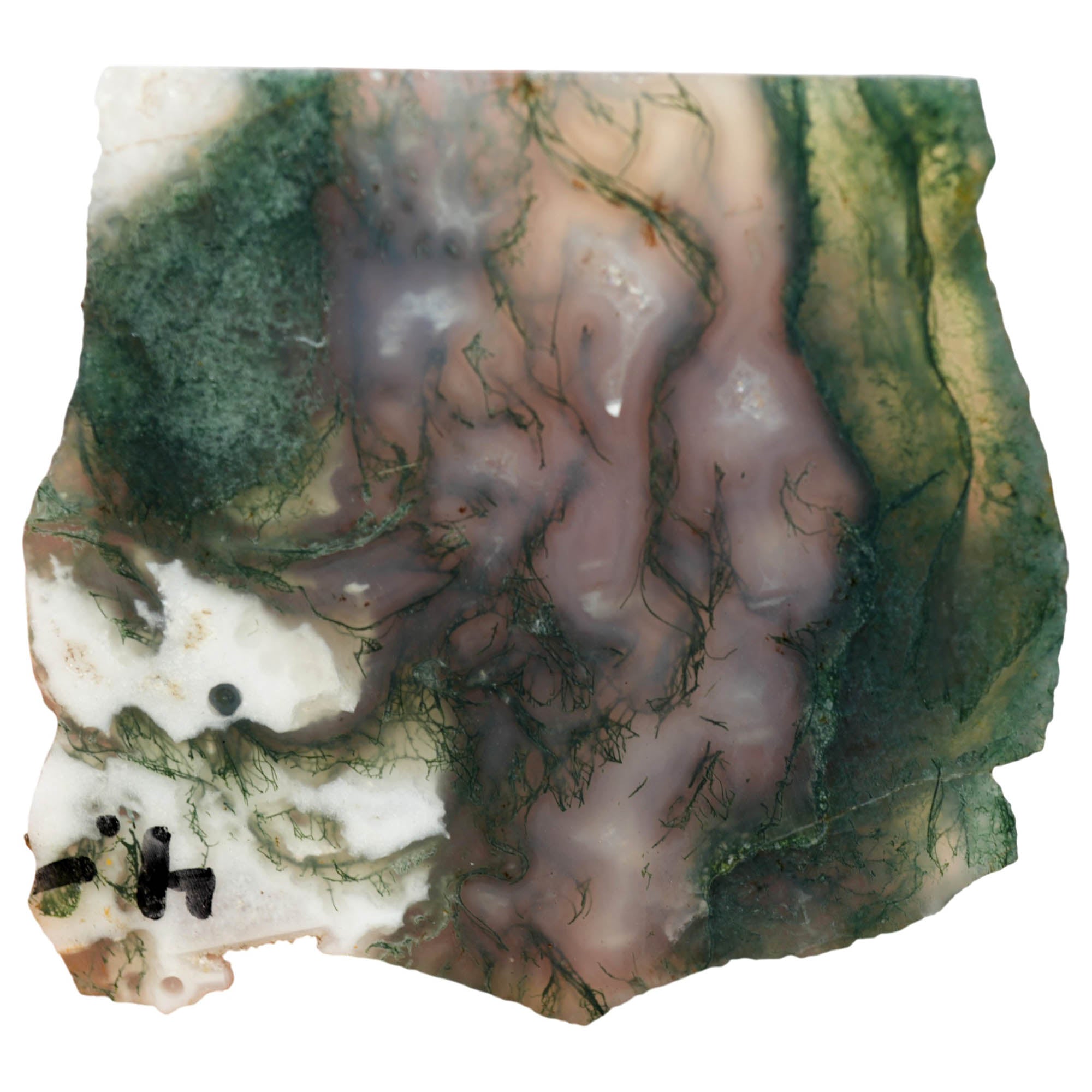 India Tree Moss Agate Slab – Green Moss Translucent Backlit #3964-Photo4