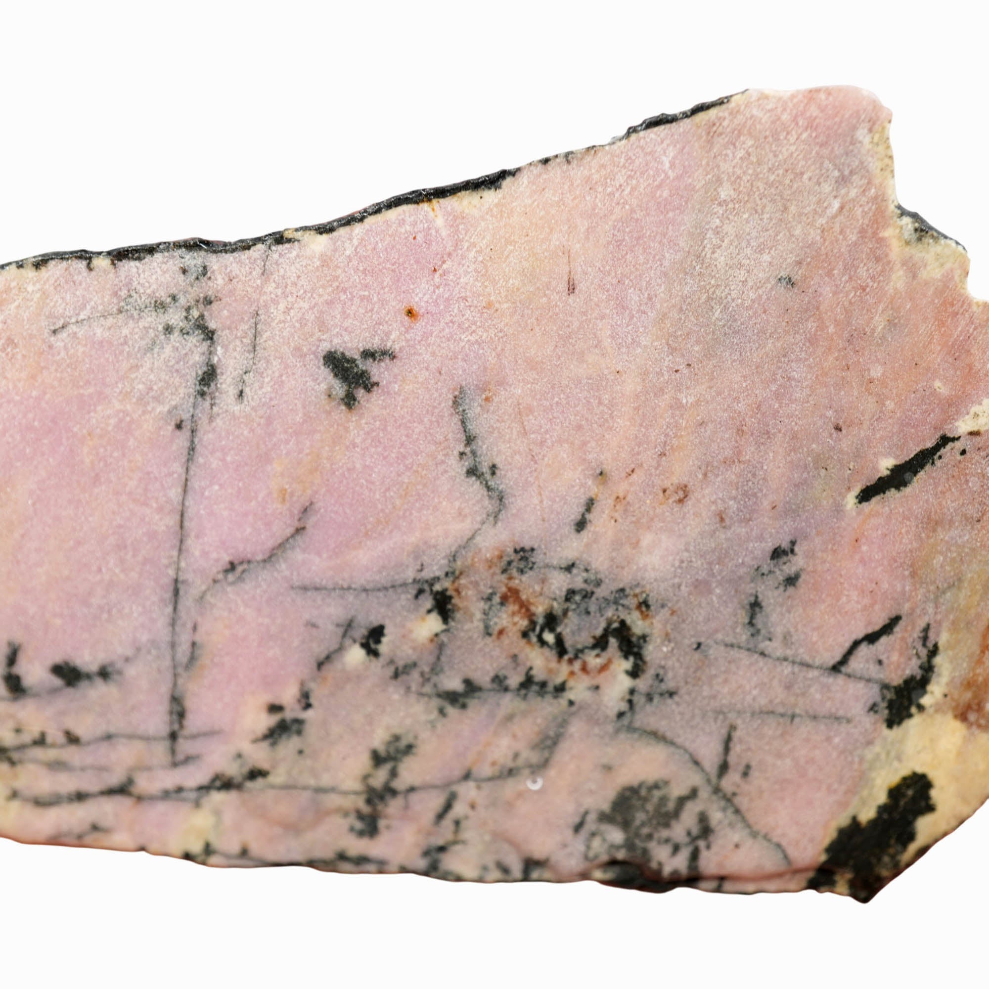 Rhodonite Slab – Bubblegum Pink Black Dendrites Contrast! #3965-Photo2