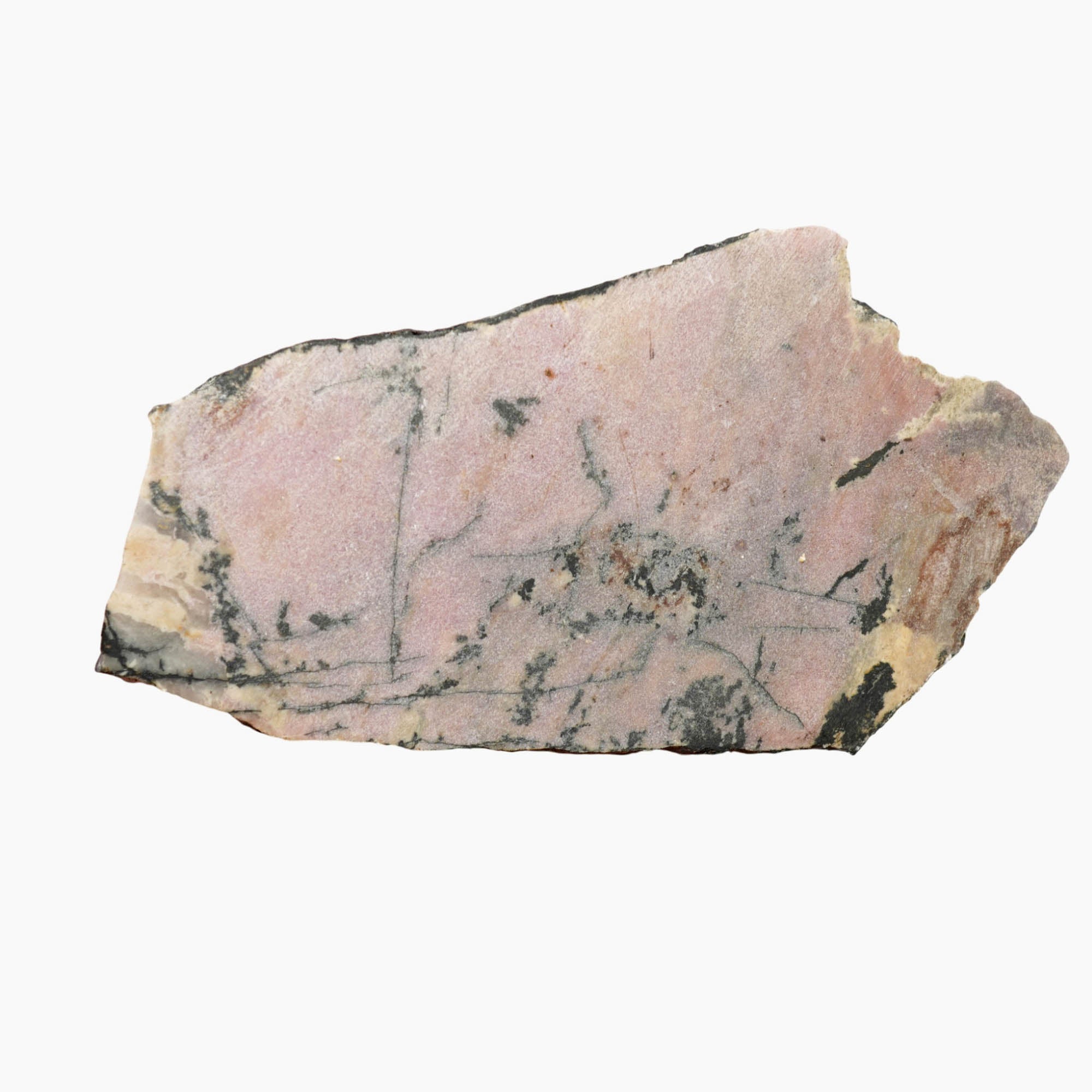 Rhodonite Slab Dry – Bubblegum Pink Black Dendrites Contrast! #3965-Photo4