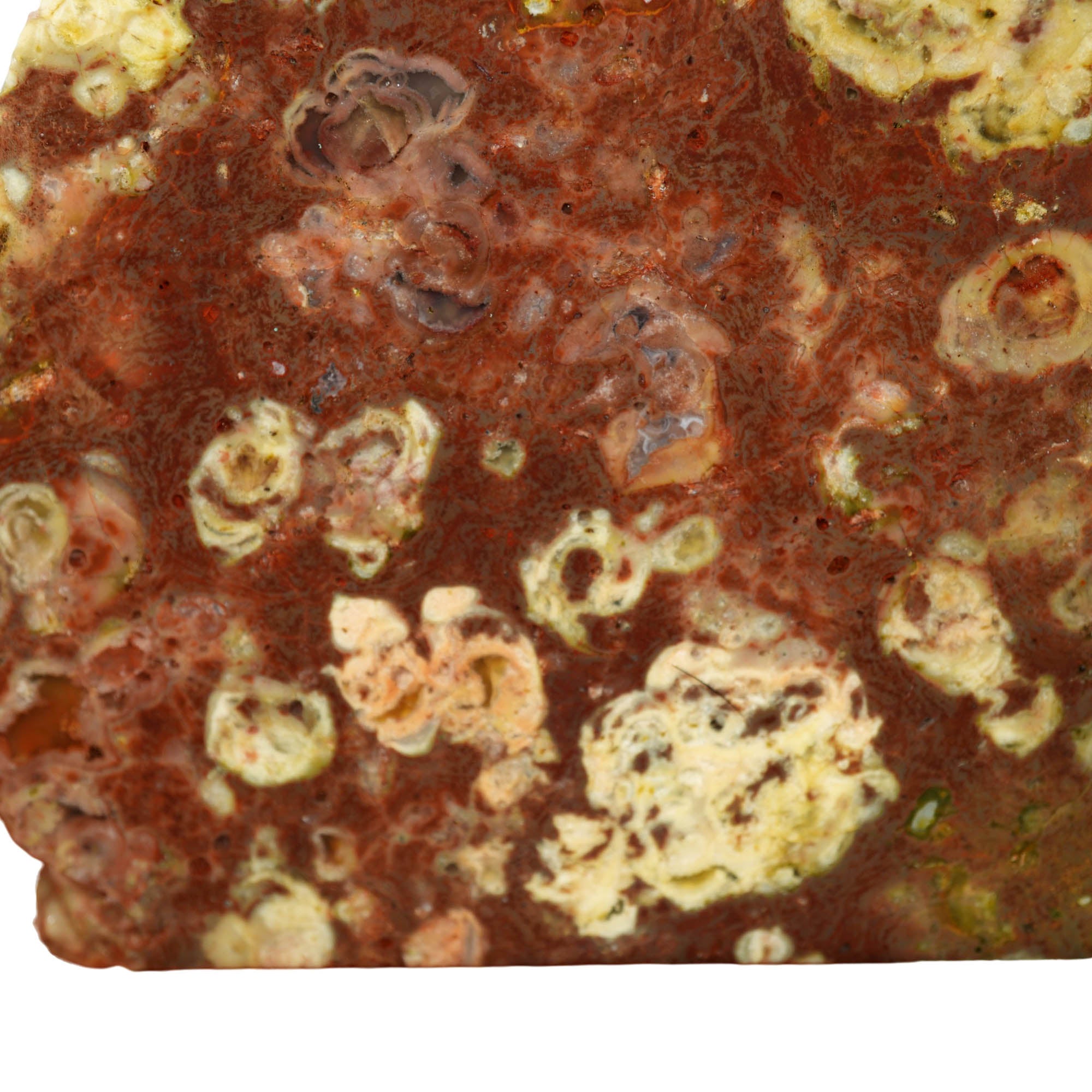 Mystery Rhyolite Slab – Thunderegg Bed Pattern Volcanic! #3968-Photo2