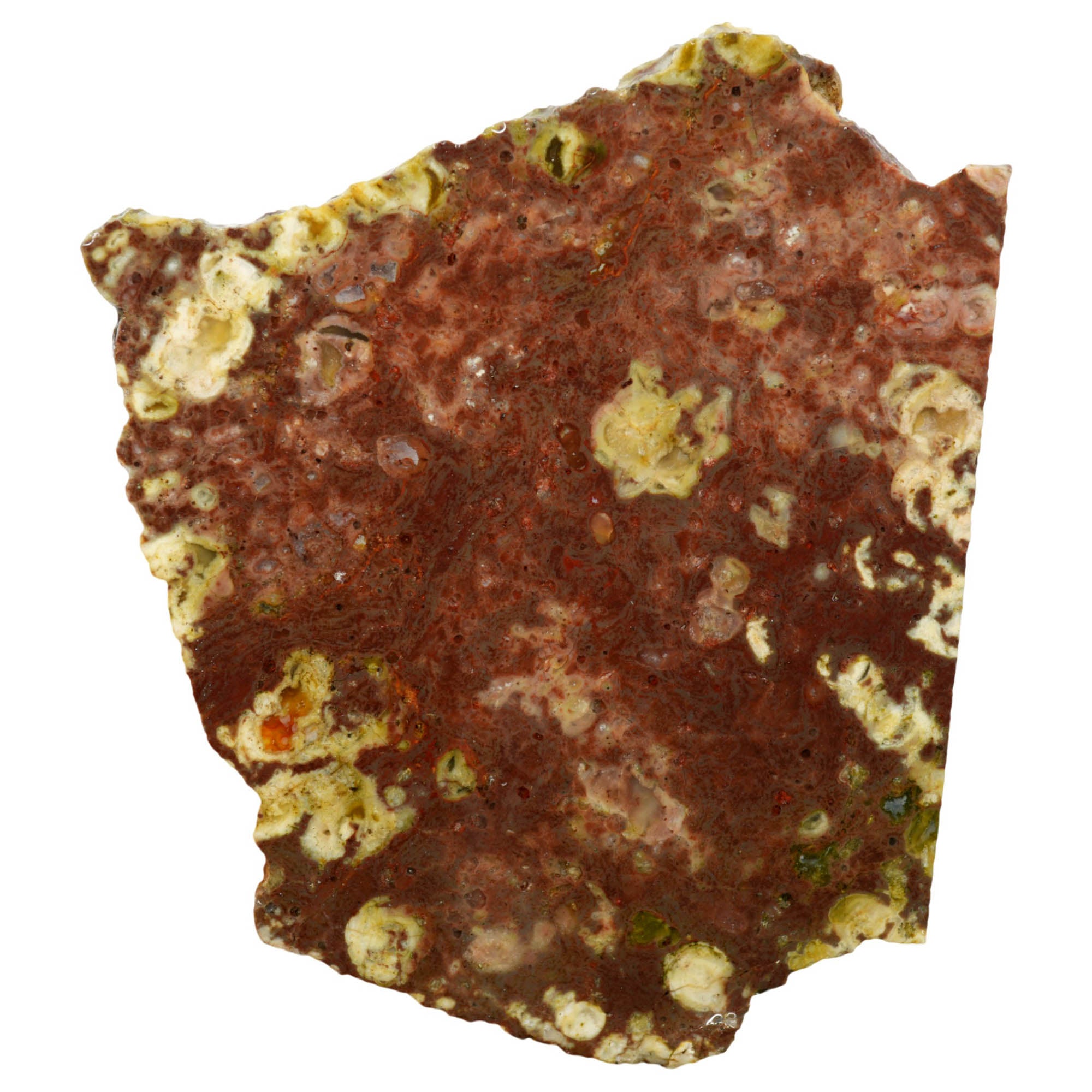 Mystery Rhyolite Slab – Thunderegg Bed Pattern Volcanic! #3968-Photo3