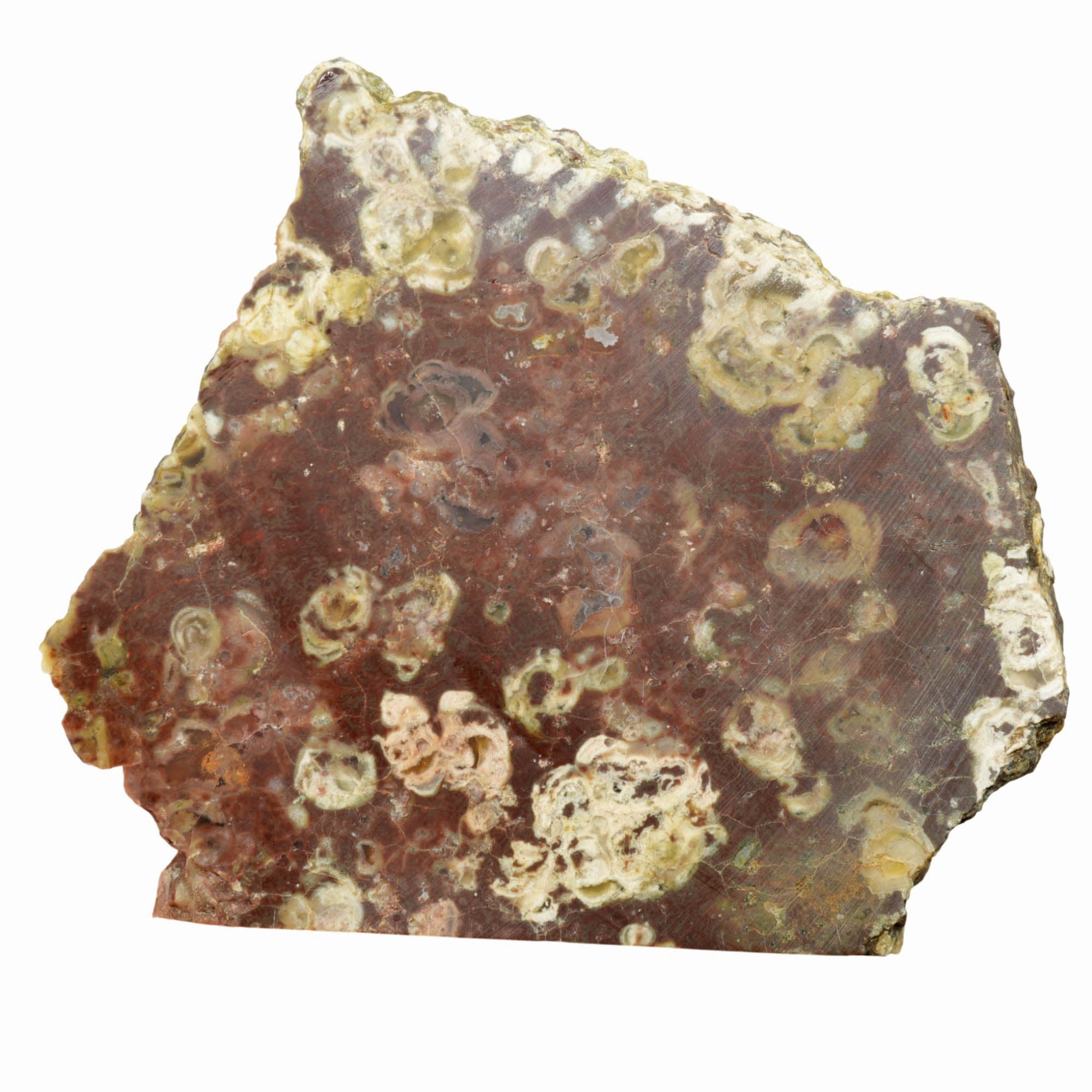 Mystery Rhyolite Slab Dry – Thunderegg Bed Pattern Volcanic! #3968-Photo5