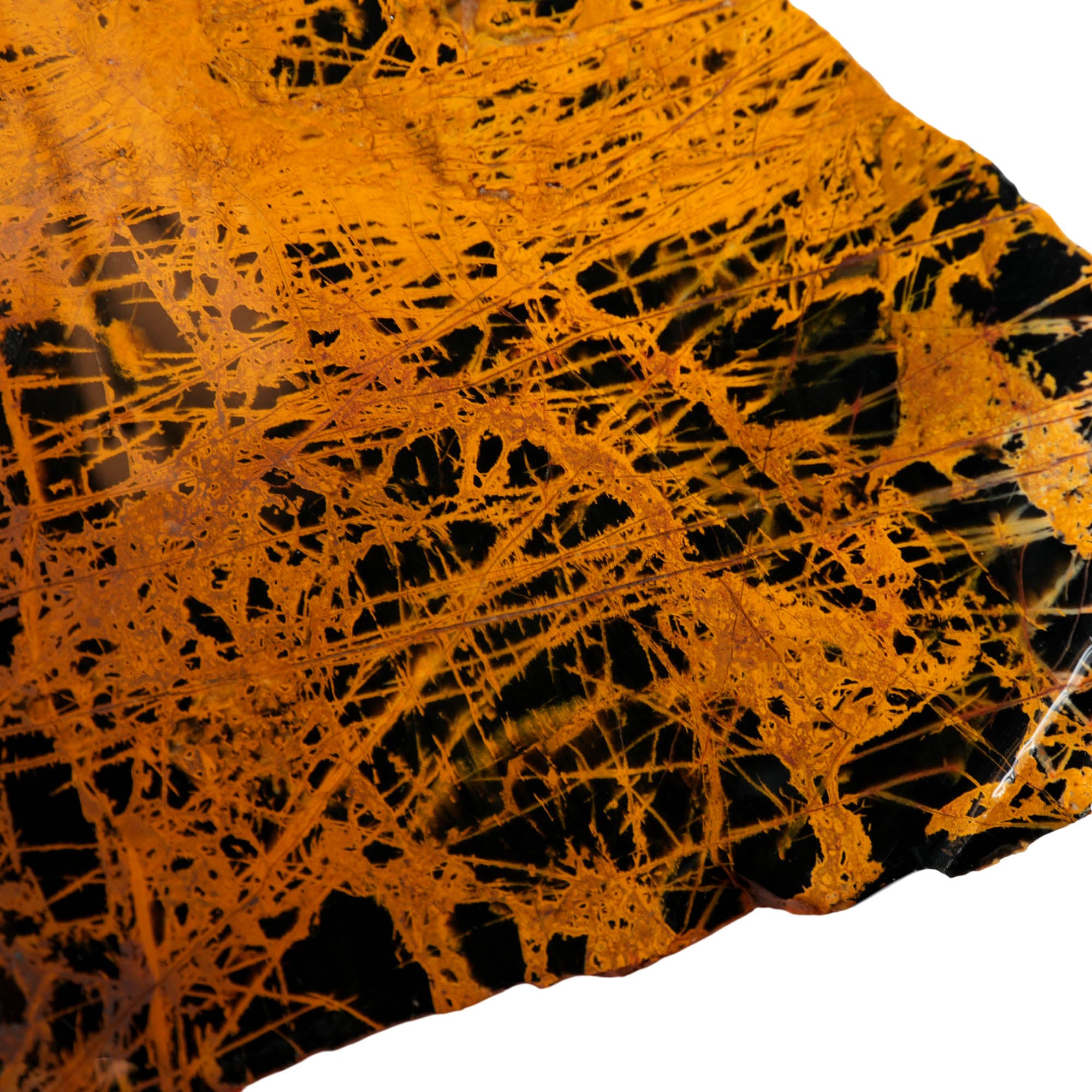 Pilbara Jasper Slab - Black Coffee Cream Pattern Australian #3969-Photo2