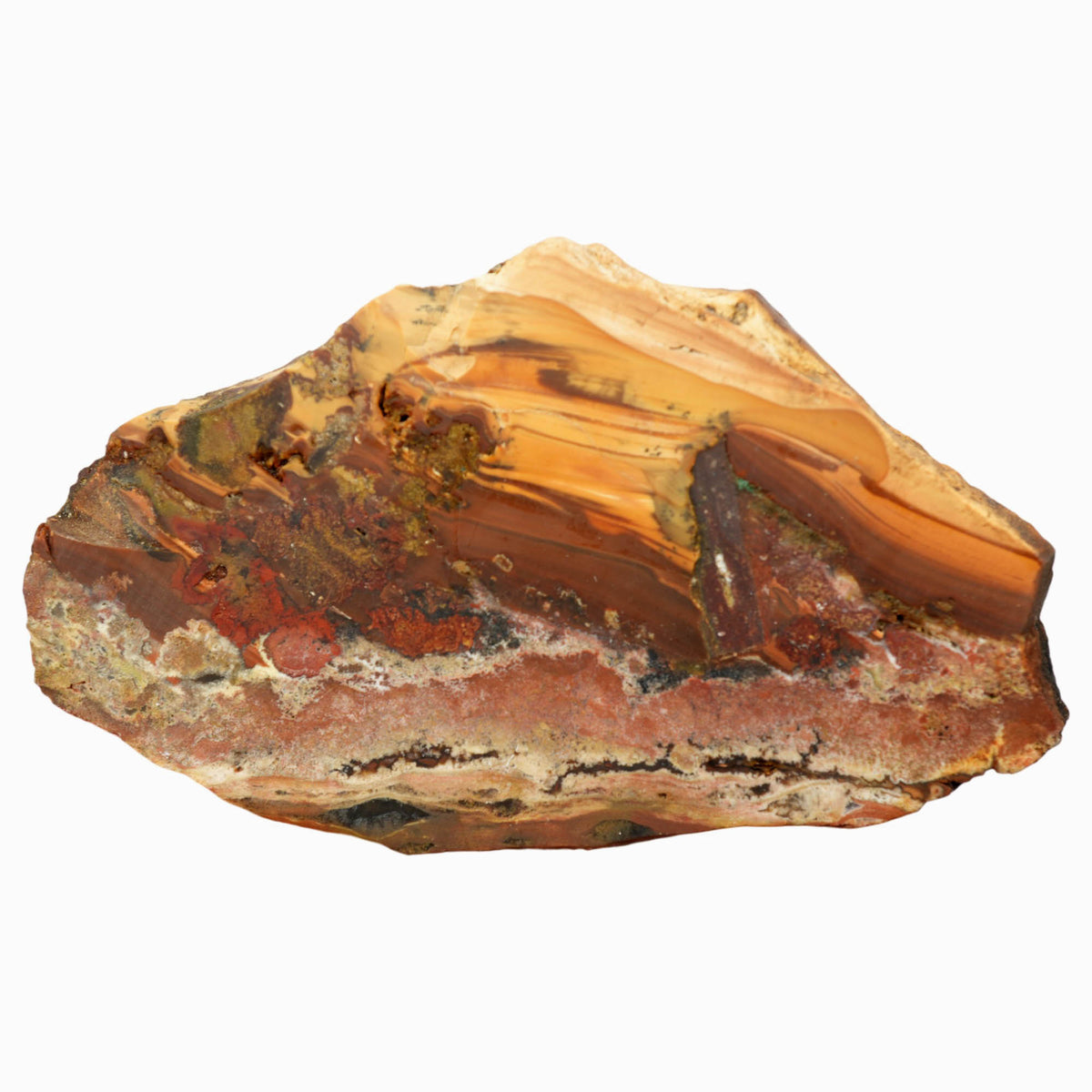Slab Rim Picture Rim Jasper Slab - Classic Pattern Moss Agate - Prineville Oregon