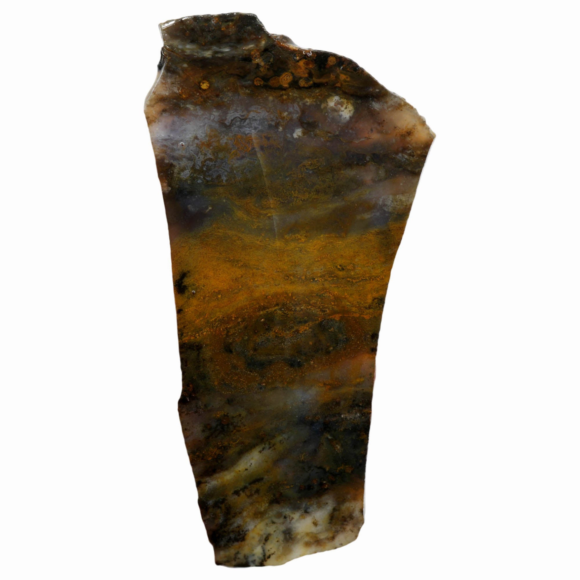 Ochoco Sunset Agate Slab – Mossy Patterns Center Banding Rare #3972-Photo3