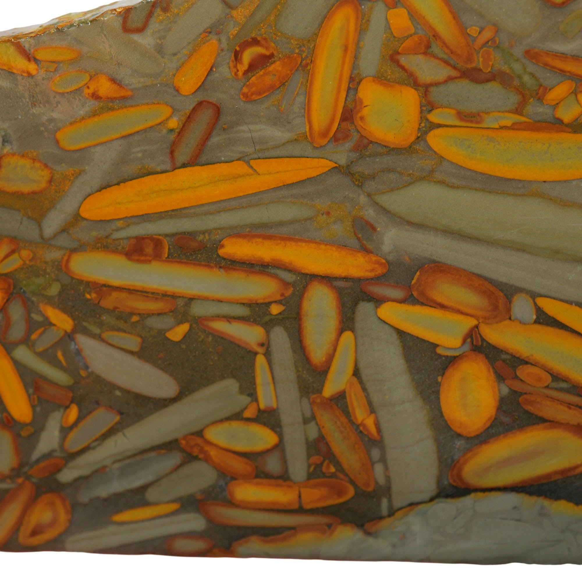 Bamboo Jasper Slab - Elongated Bamboo Pattern Indonesia Fossil #3973-Photo2