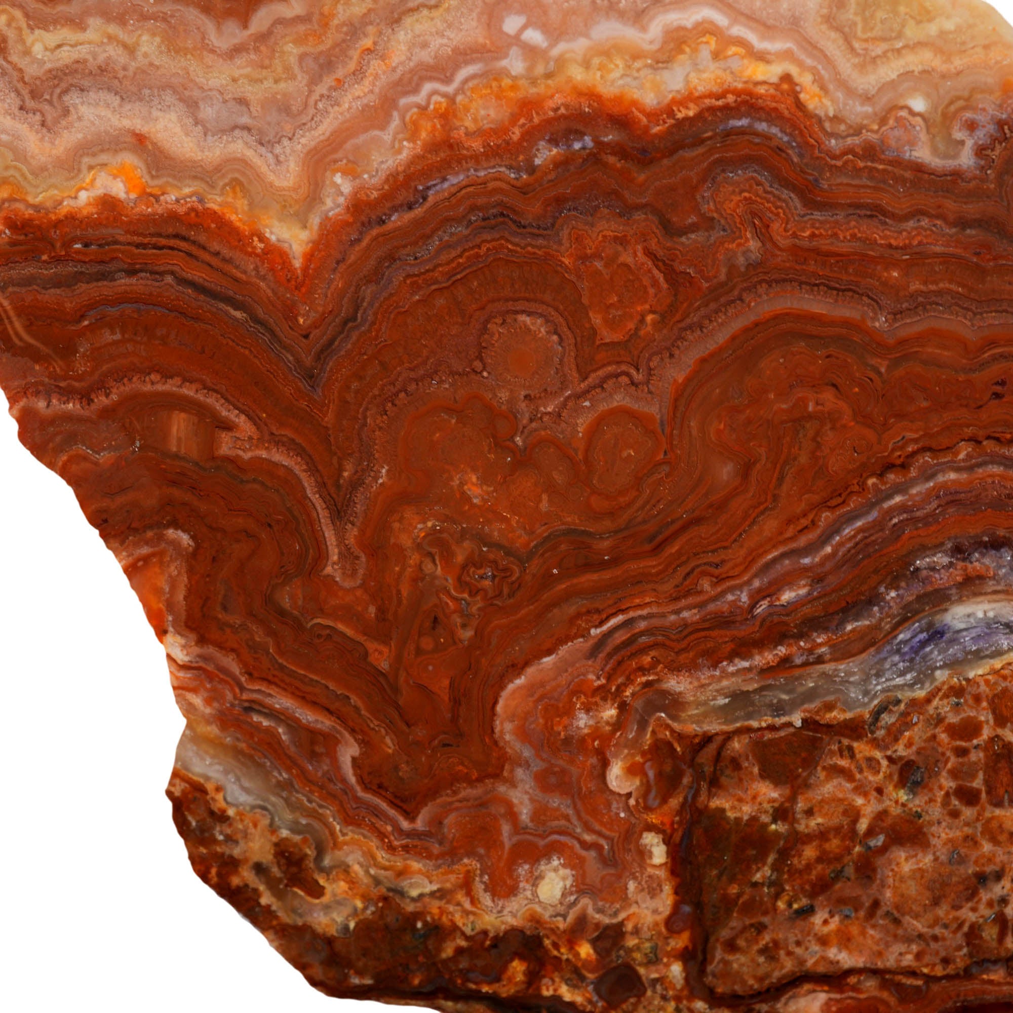 Fire Horizon Agate Slab - Wavy Lace Fiery Orange Mexico #3975-Photo2