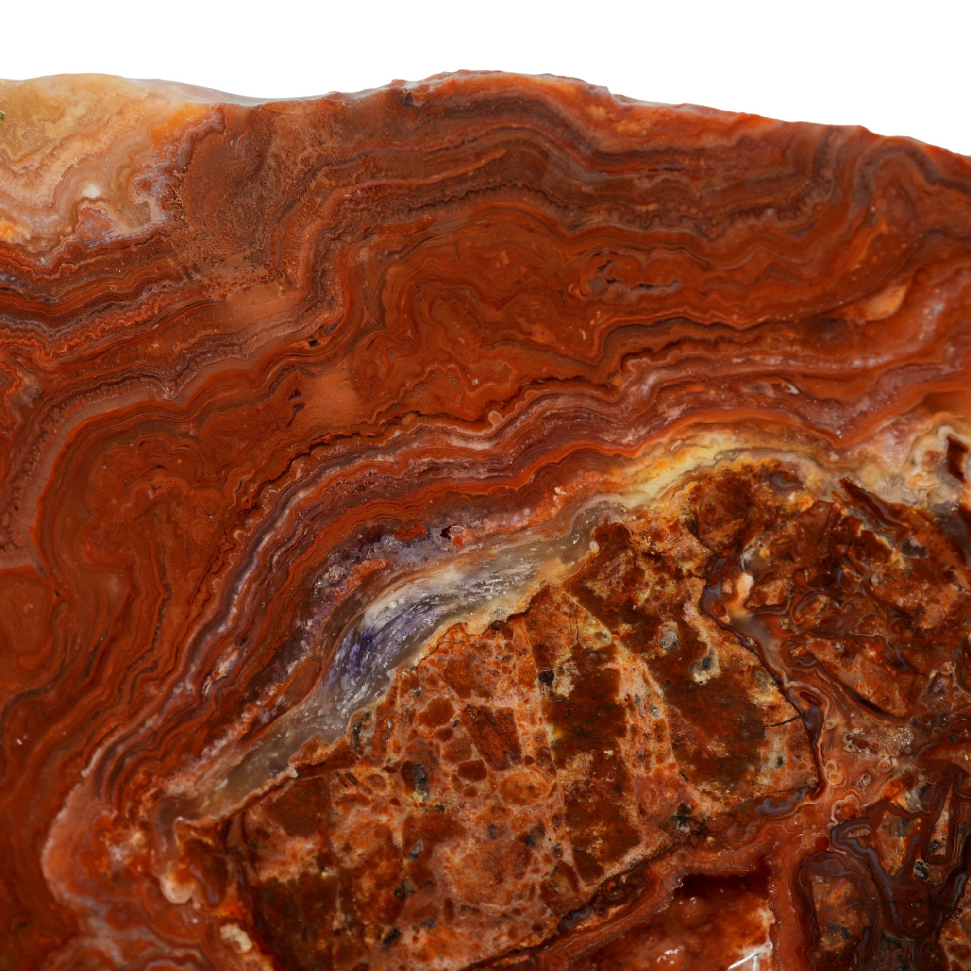 Fire Horizon Agate Slab - Wavy Lace Fiery Orange Mexico #3975-Photo3