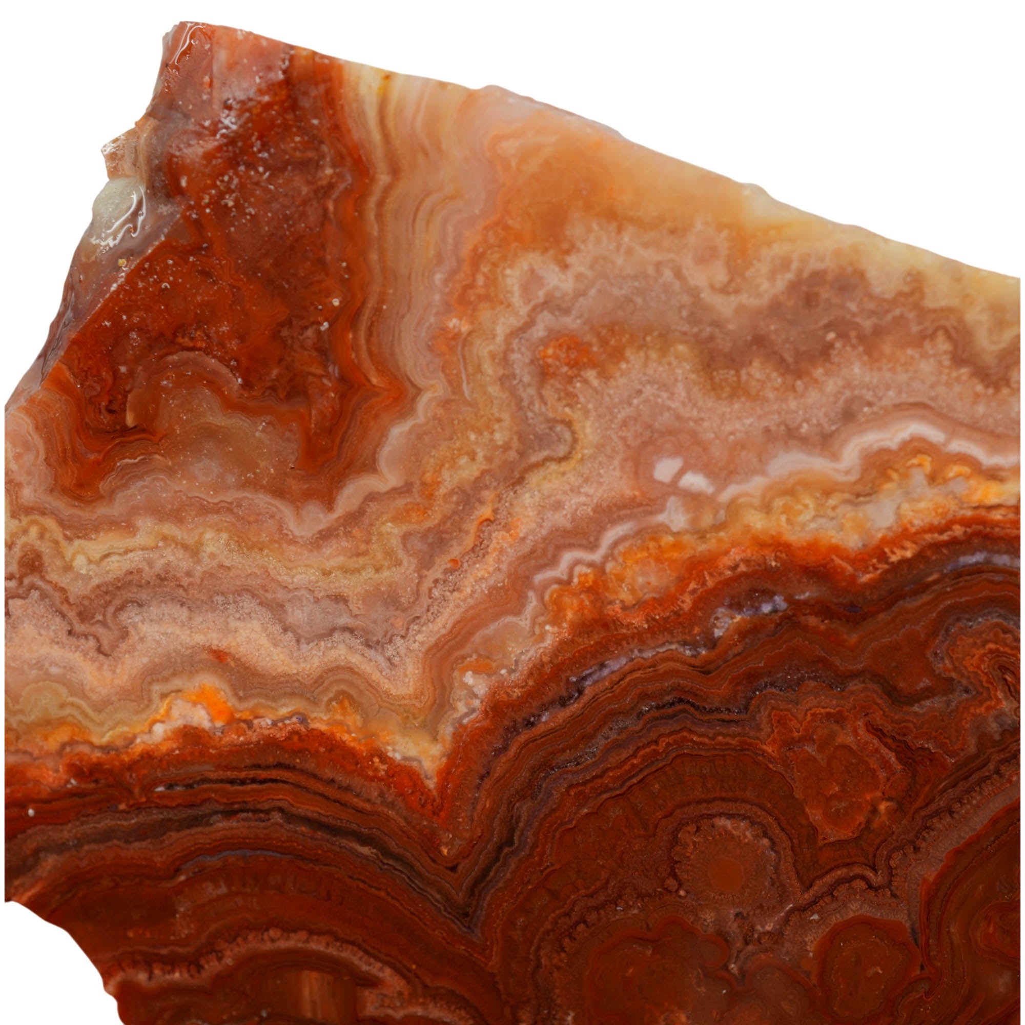 Fire Horizon Agate Slab - Wavy Lace Fiery Orange Mexico #3975-Photo4