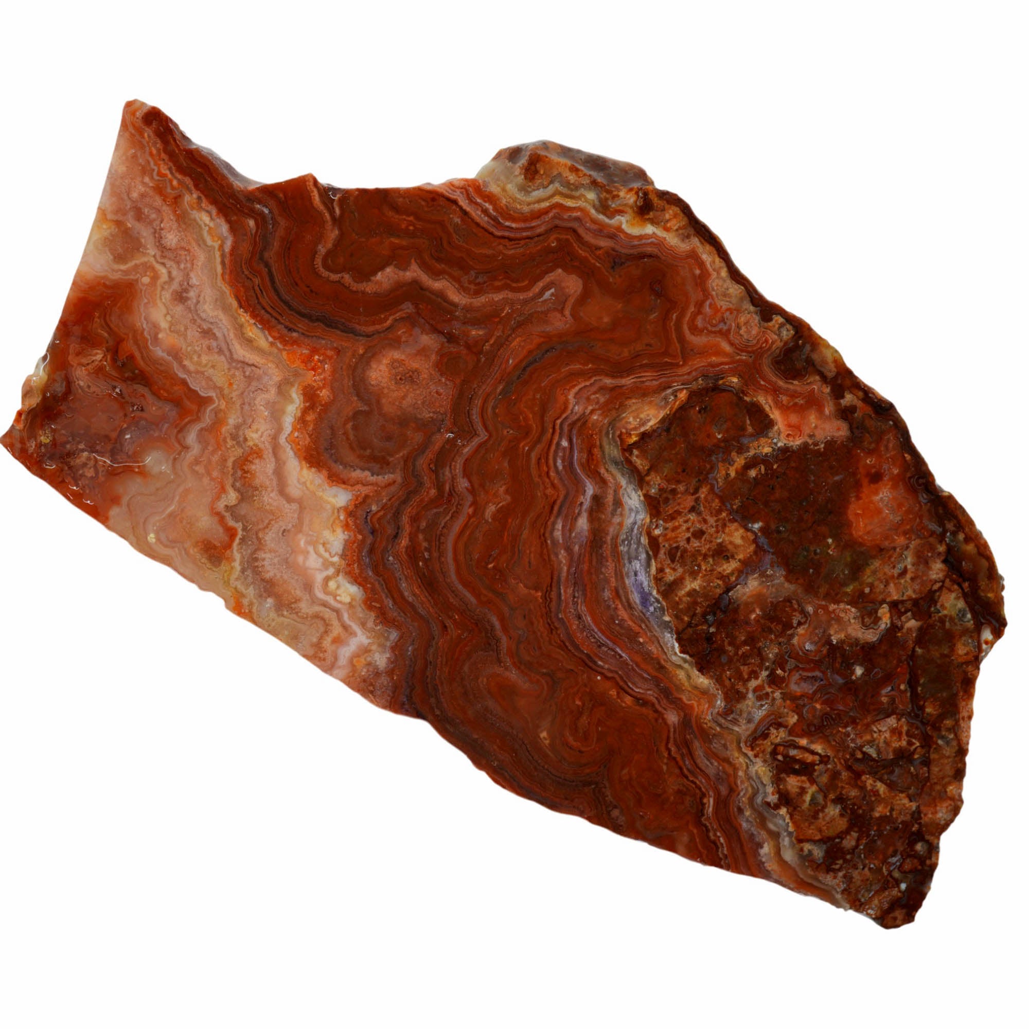 Fire Horizon Agate Slab - Wavy Lace Fiery Orange Mexico #3975-Photo5