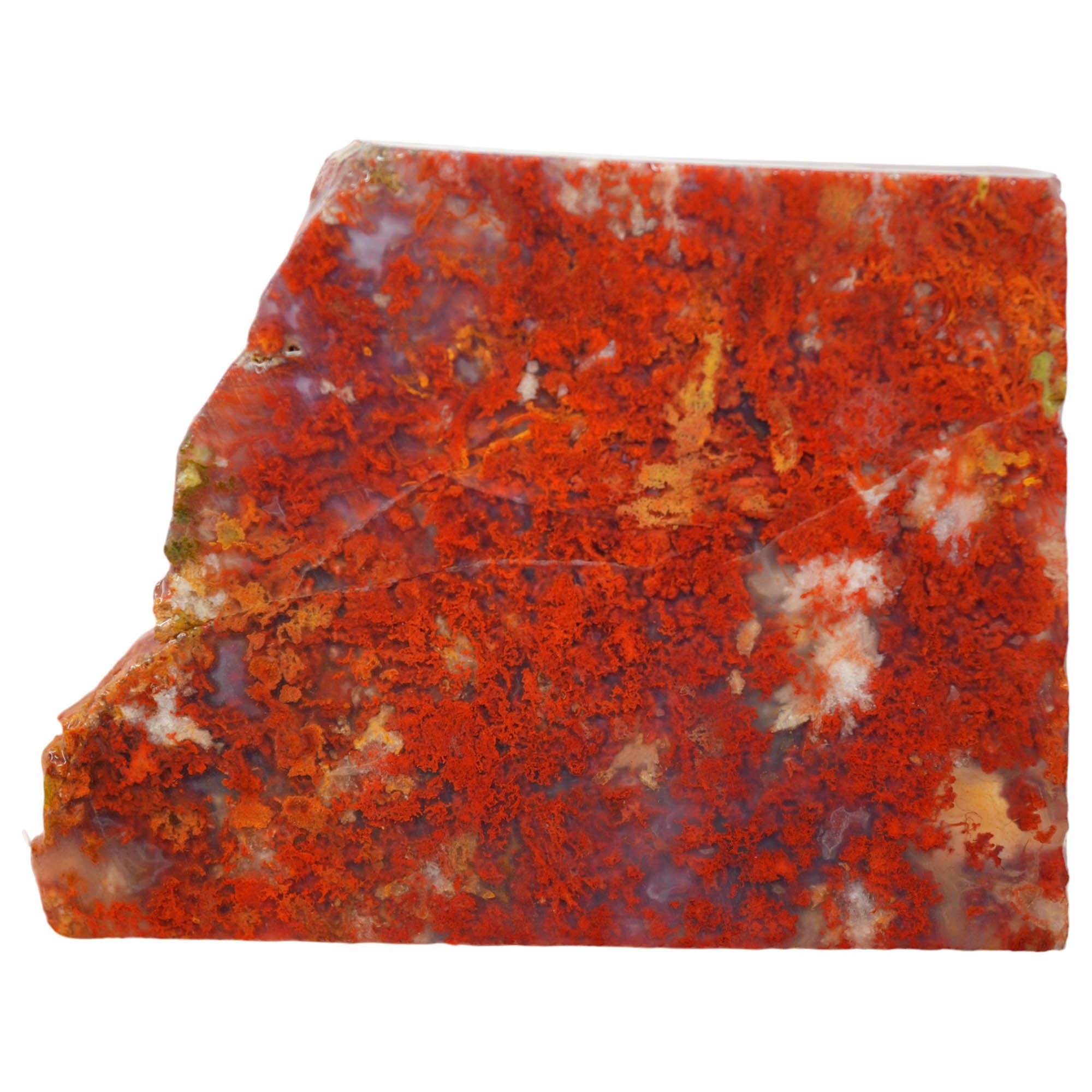 Powell Butte Plume Agate Slab - Red Moss High Contrast! #3978-Photo3
