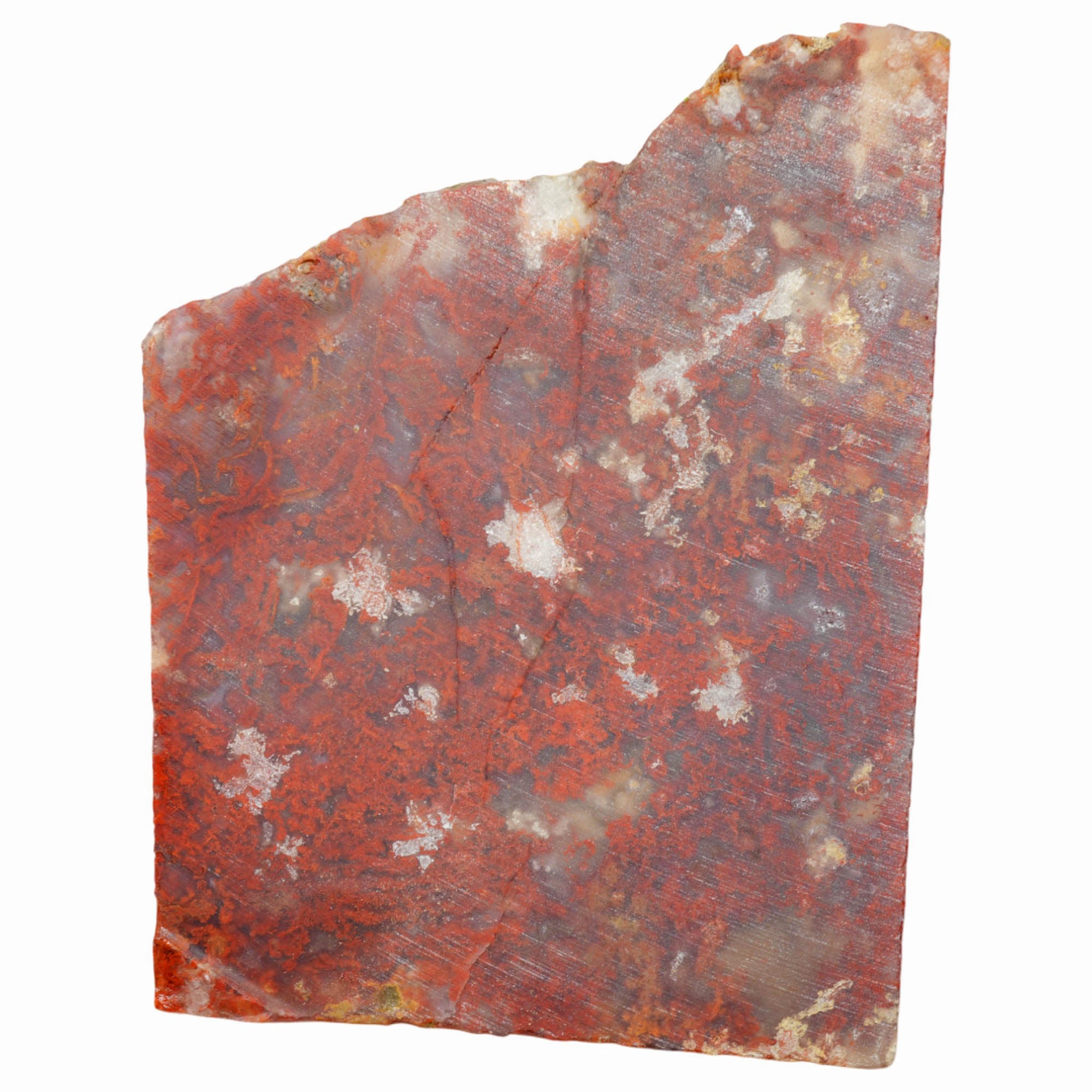 Powell Butte Plume Agate Slab Dry - Red Moss High Contrast! #3978-Photo4