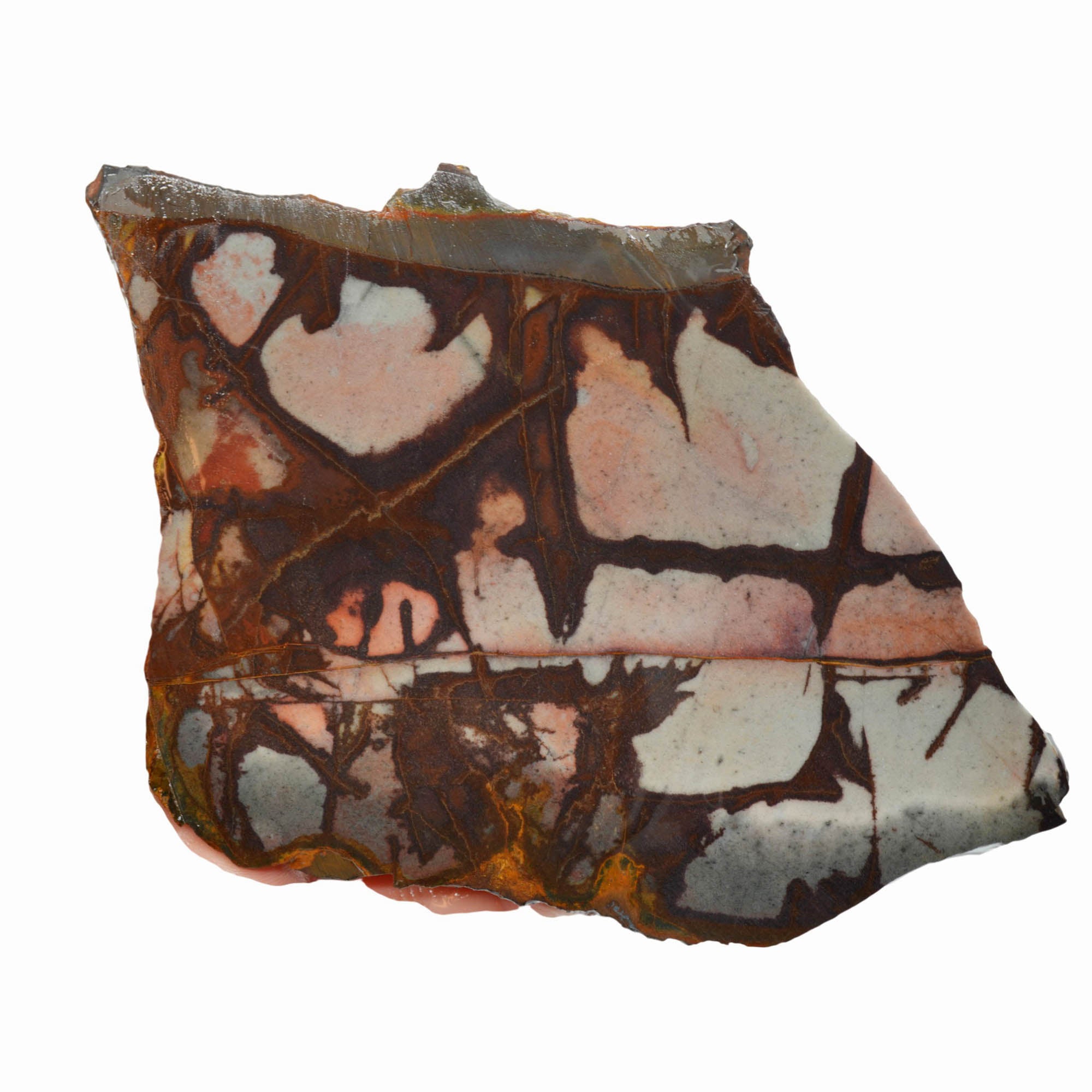 Outback Jasper Slab – Eerie Blue Sunset Colors Rare Australian! #3979-Photo2