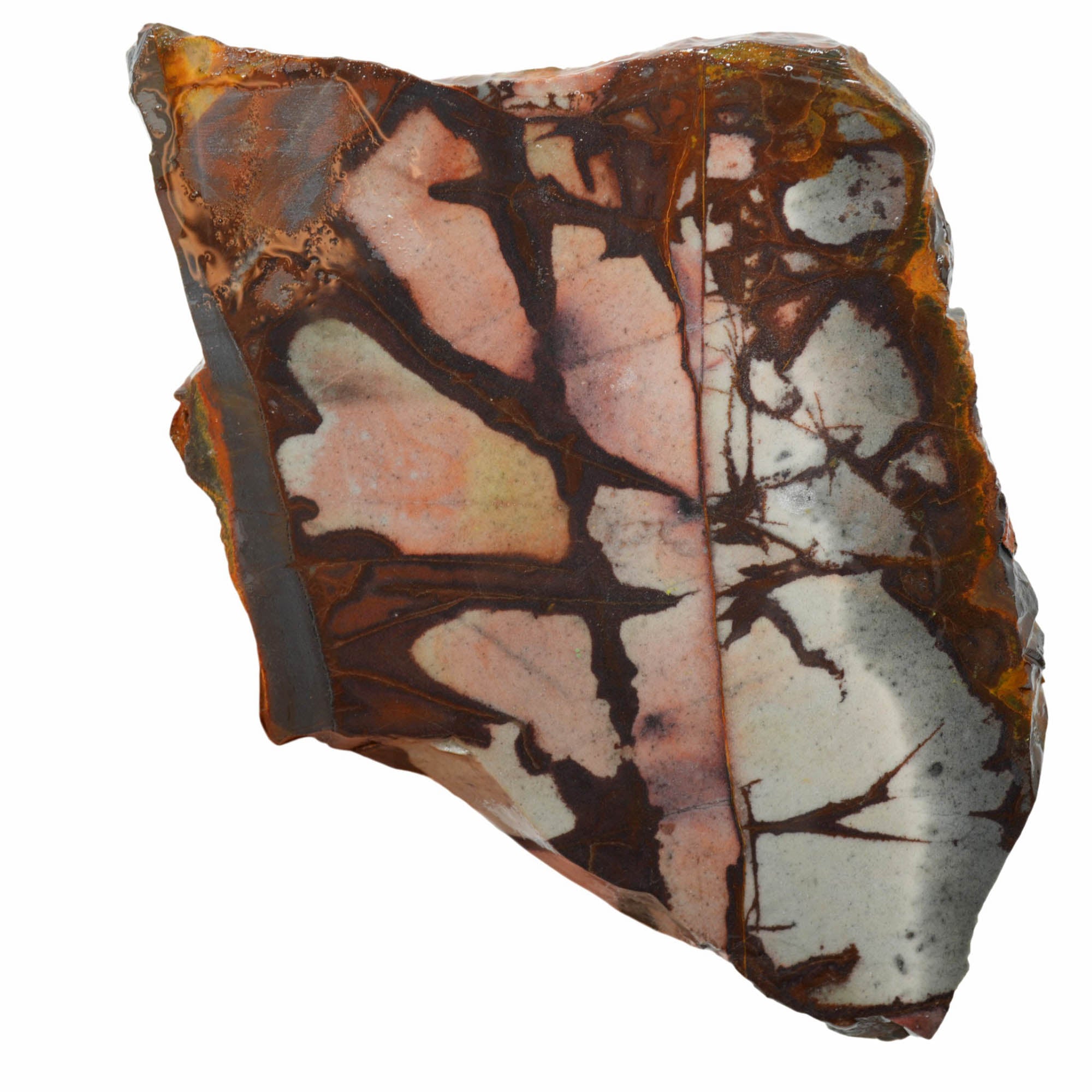 Outback Jasper Slab – Eerie Blue Sunset Colors Rare Australian! #3979-Photo4