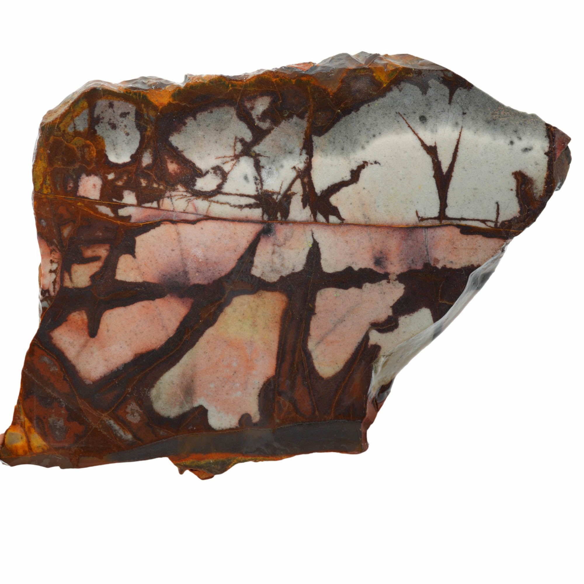 Outback Jasper Slab – Eerie Blue Sunset Colors Rare Australian! #3979-Photo5