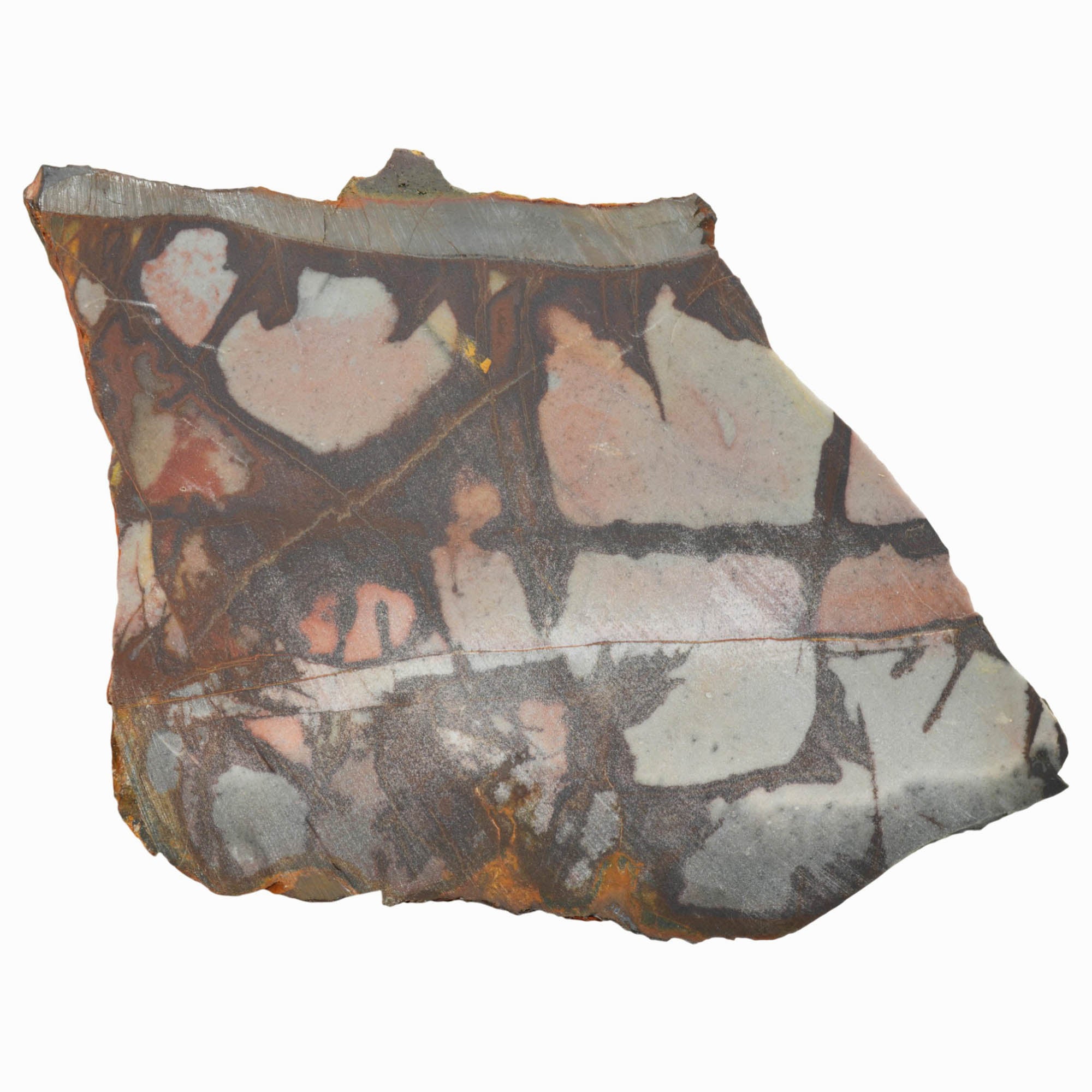 Outback Jasper Slab Dry – Eerie Blue Sunset Colors Rare Australian! #3979-Photo6