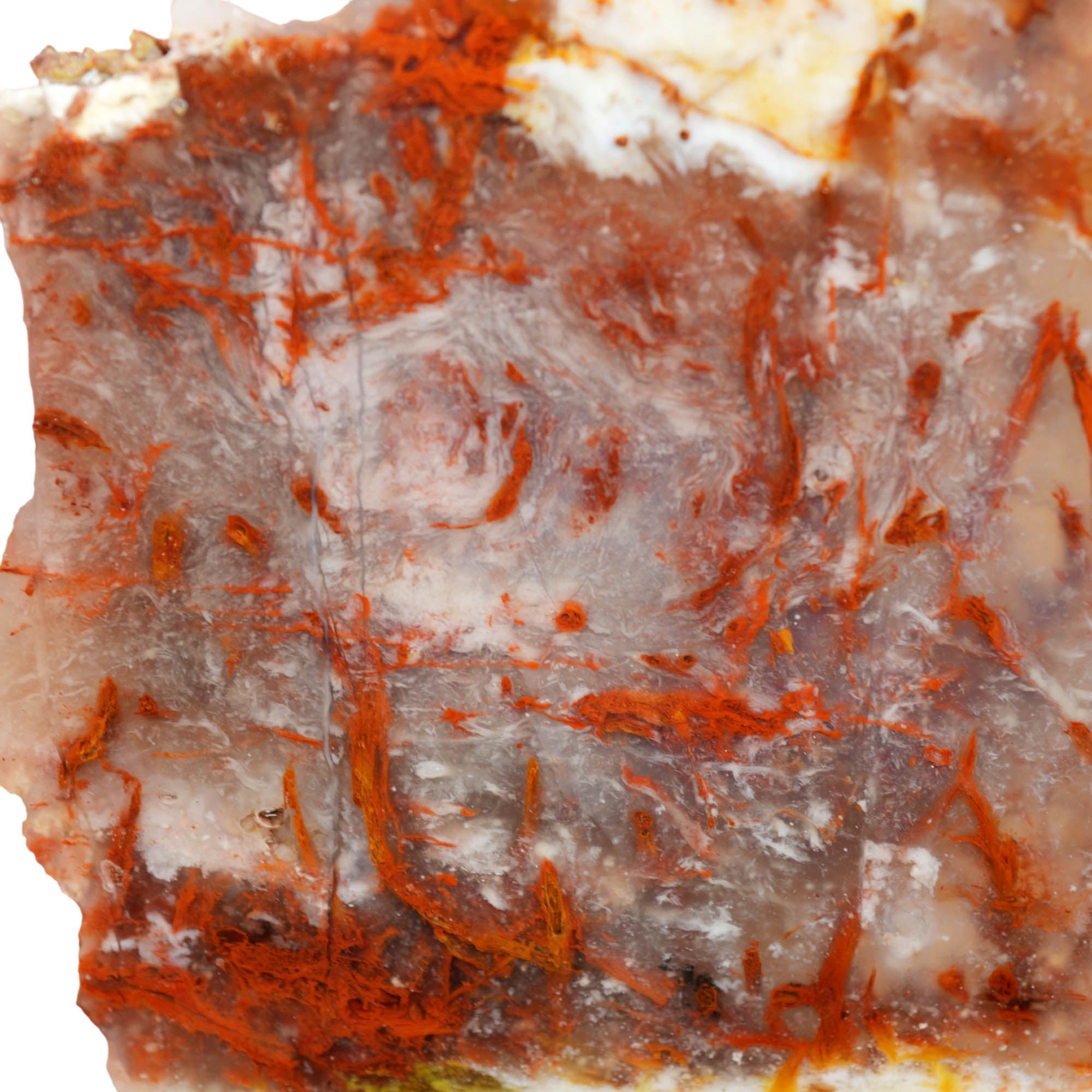 Kramer Hills Agate Slab - Fiery Red Bog Pattern White Feathers Druzy #3980-Photo2