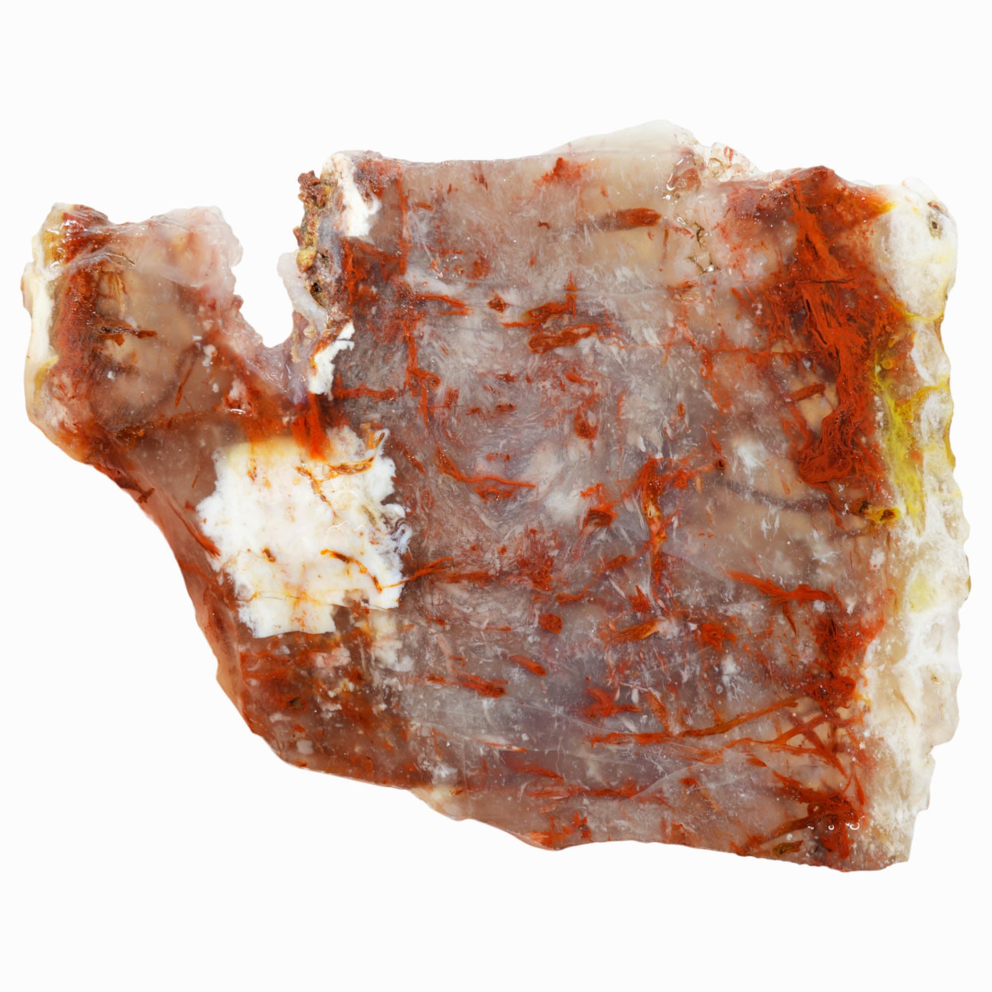 Kramer Hills Agate Slab - Fiery Red Bog Pattern White Feathers Druzy #3980-Photo4