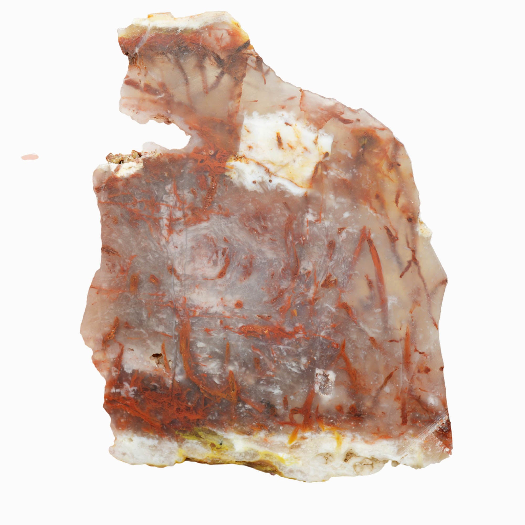 Kramer Hills Agate Slab Dry - Fiery Red Bog Pattern White Feathers #3980-Photo5