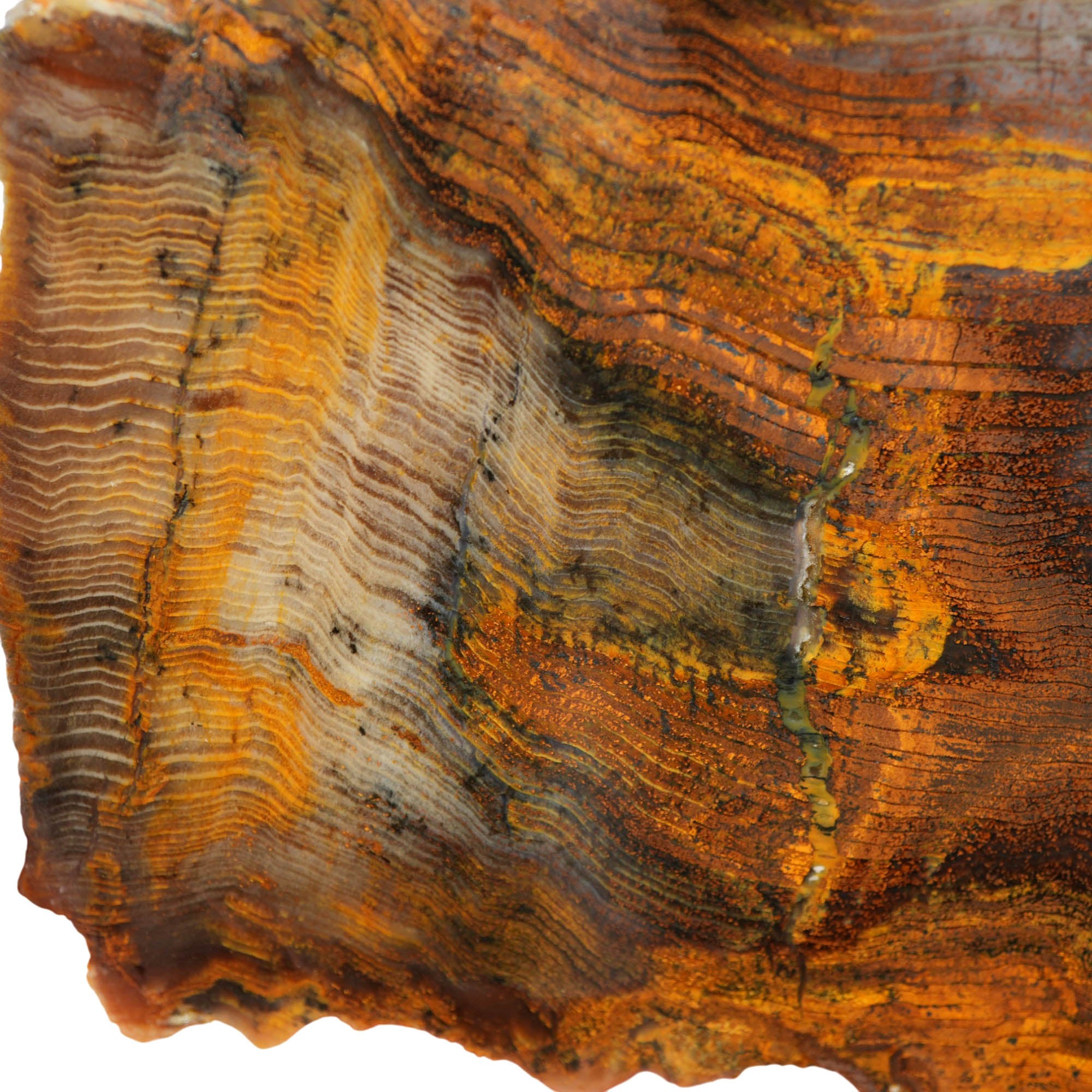 Mystery Petrified Wood Slab - Hematite Herringbone Rustic Orange! #3981-Photo2