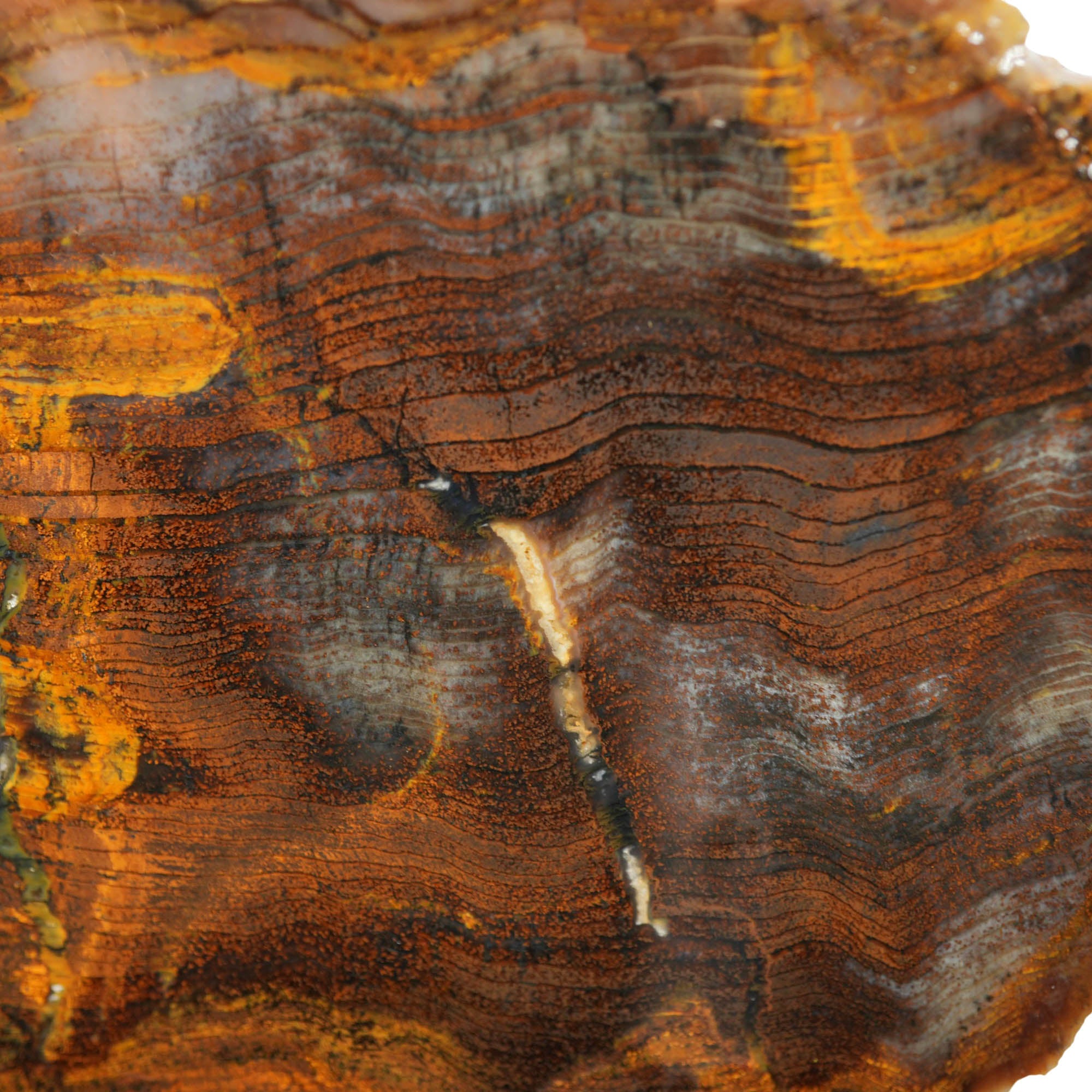 Mystery Petrified Wood Slab - Hematite Herringbone Rustic Orange! #3981-Photo3