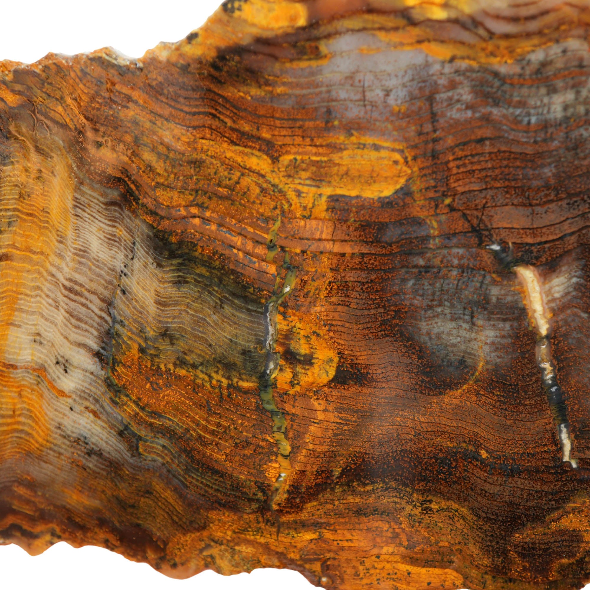 Mystery Petrified Wood Slab - Hematite Herringbone Rustic Orange! #3981-Photo4