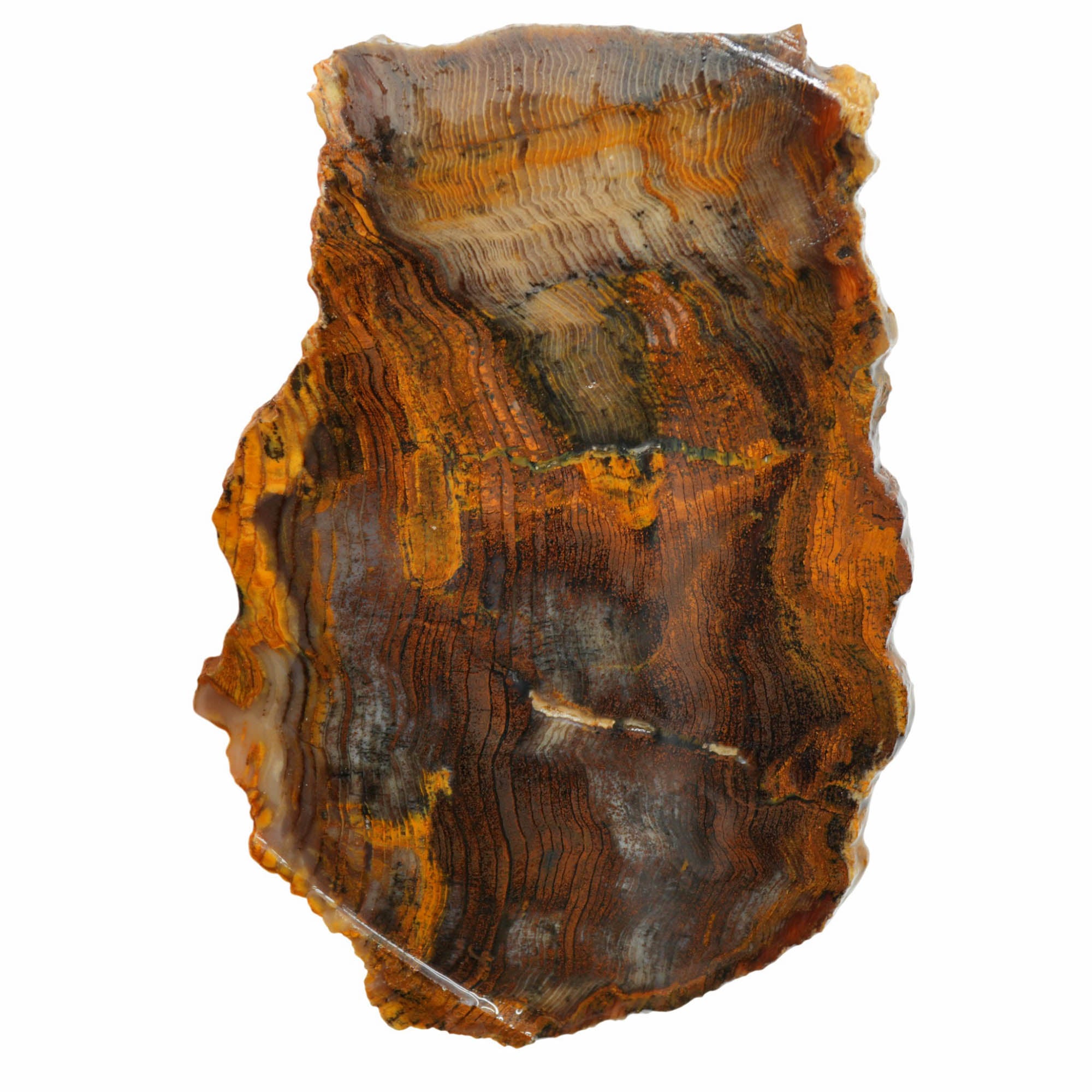 Mystery Petrified Wood Slab - Hematite Herringbone Rustic Orange! #3981-Photo5