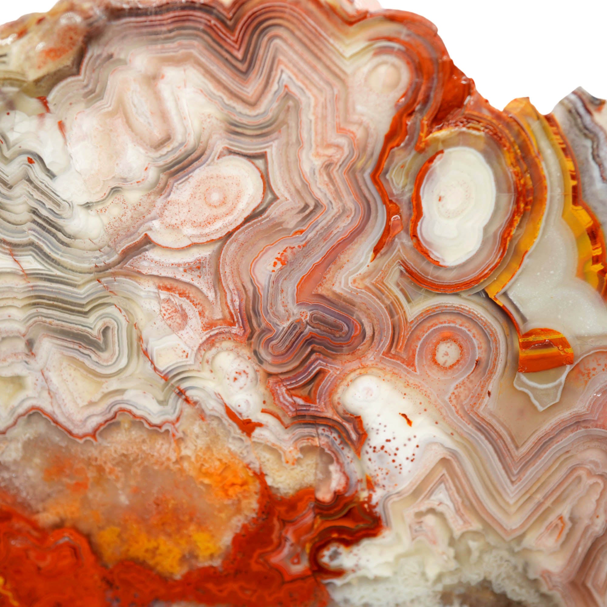 Laguna Lace Agate Slab - Vibrant Red Tube Pattern Detail #3982-Photo4