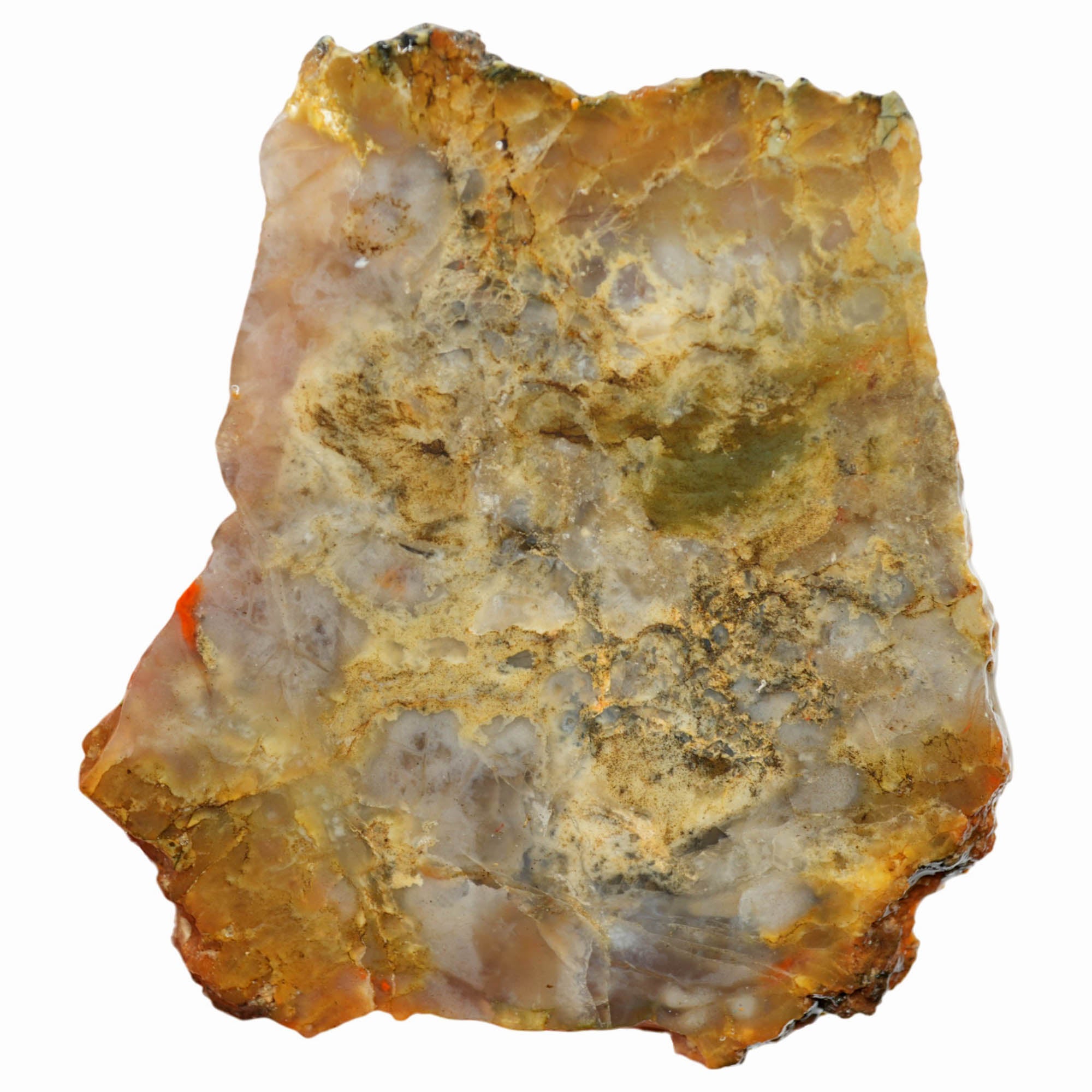 Coprolite Slab - Wispy Cream Agate Pattern Morrison Formation Utah #3983-Photo3