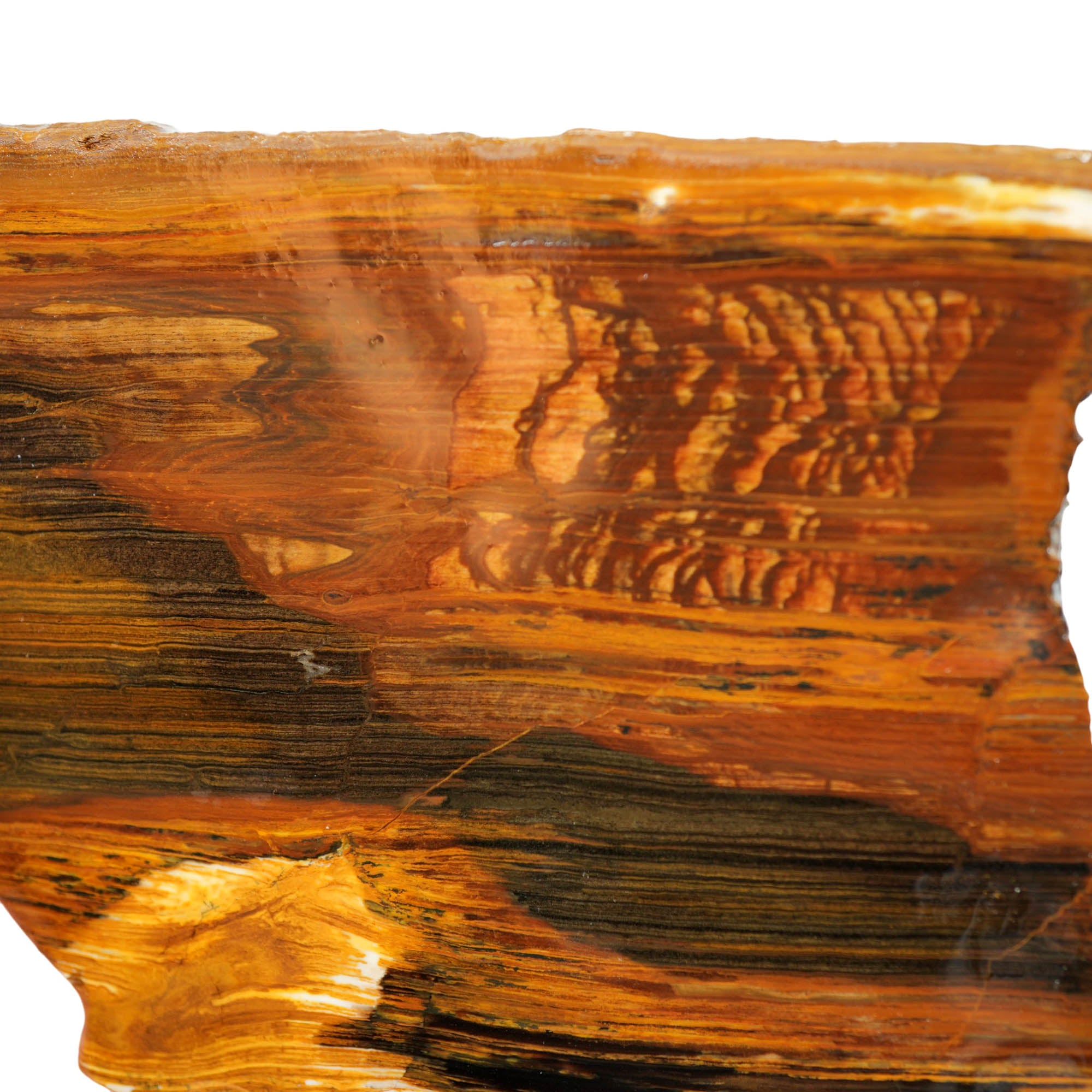 Biggs Picture Jasper Slab - Rolling Hills Coffee Strata Oregon #3984-Photo2