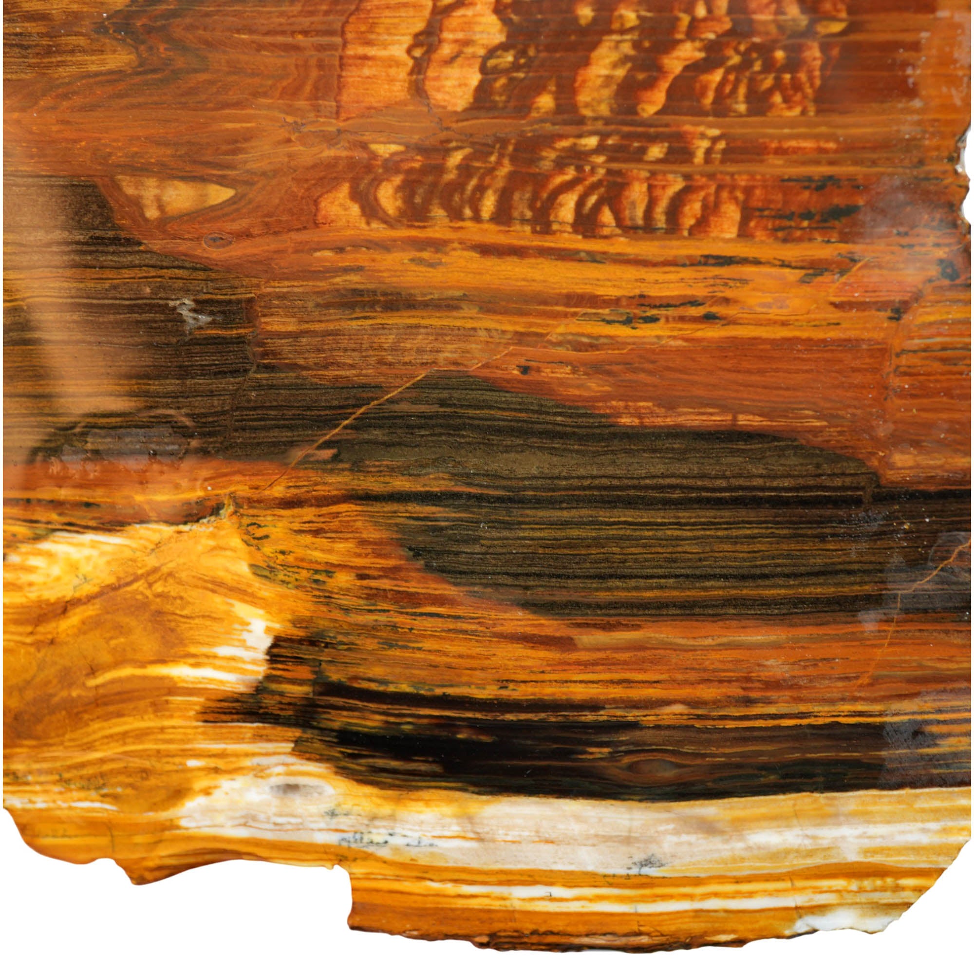 Biggs Picture Jasper Slab - Rolling Hills Coffee Strata Oregon #3984-Photo3