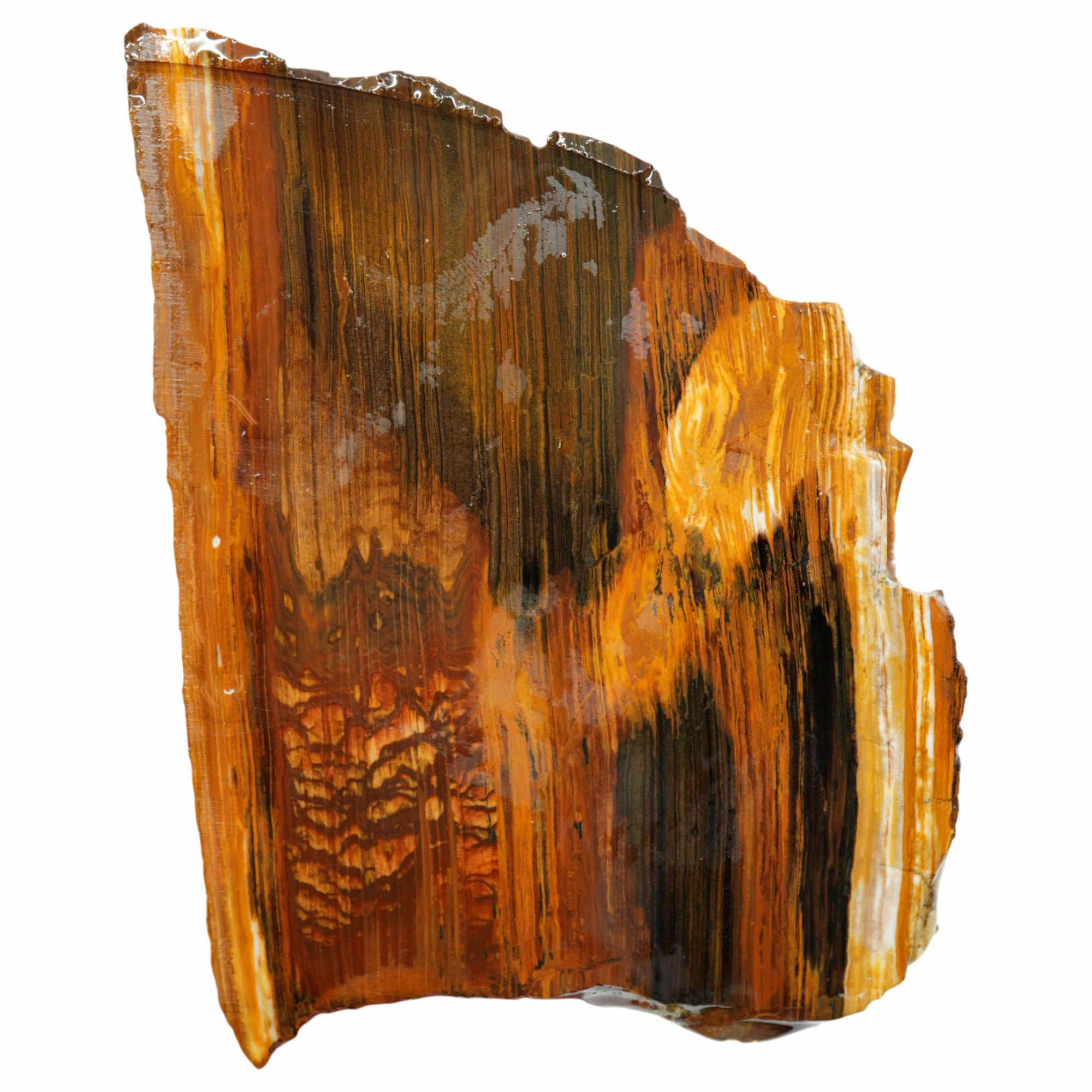 Biggs Picture Jasper Slab - Rolling Hills Coffee Strata Oregon #3984-Photo4