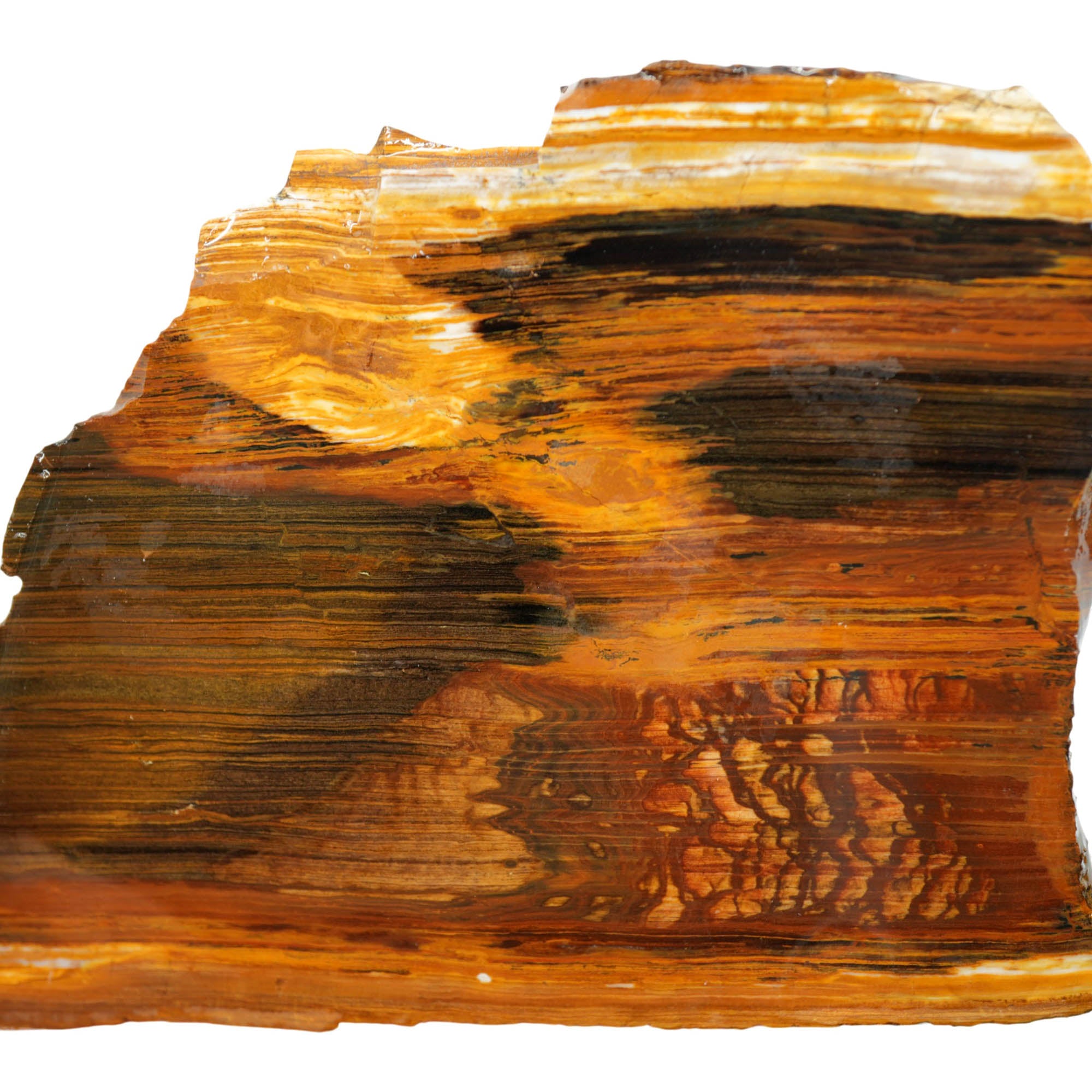 Biggs Picture Jasper Slab - Rolling Hills Coffee Strata Oregon #3984-Photo5