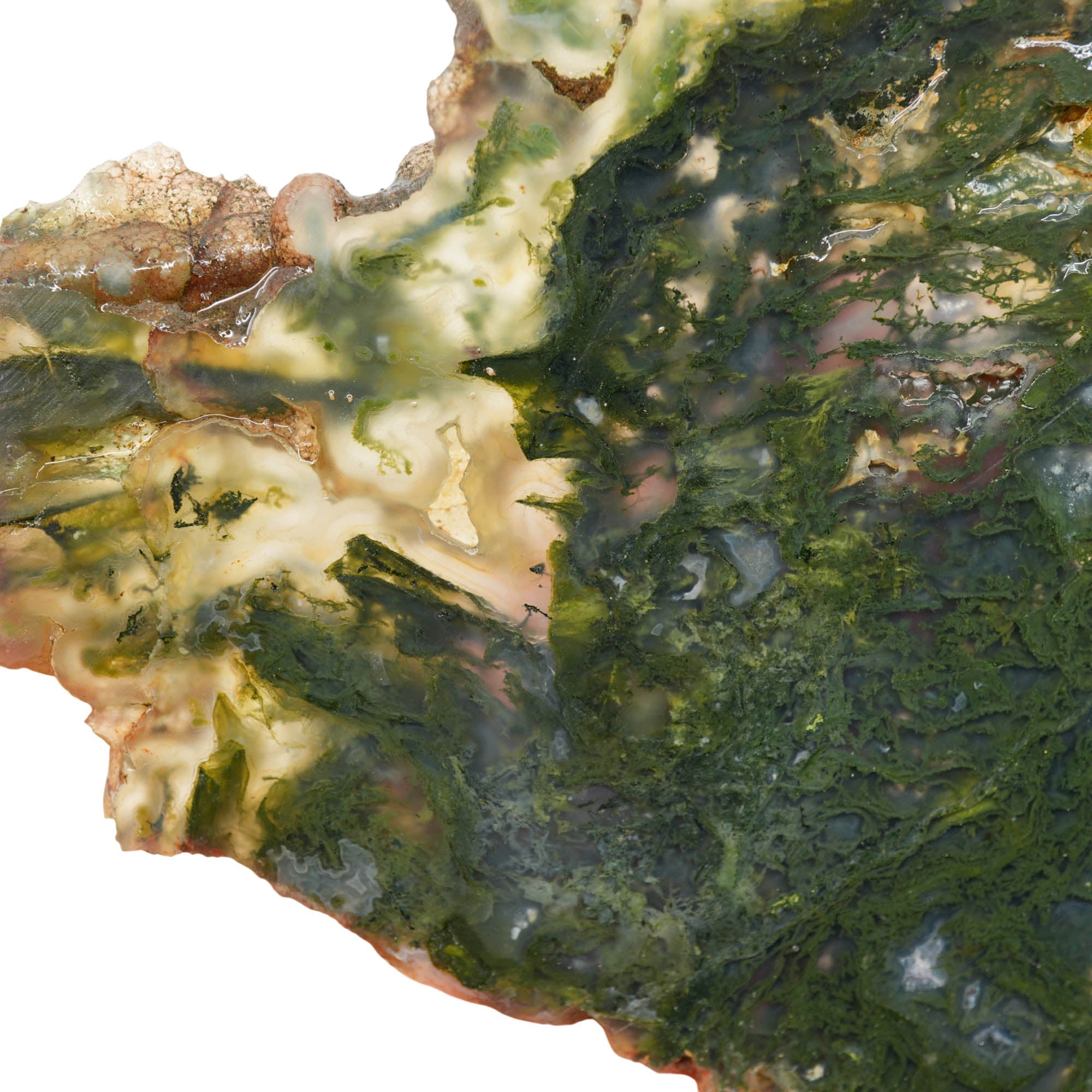 Maury Mountain Moss Agate Slab - Vivid Green Moss Translucent! #3985-Photo2