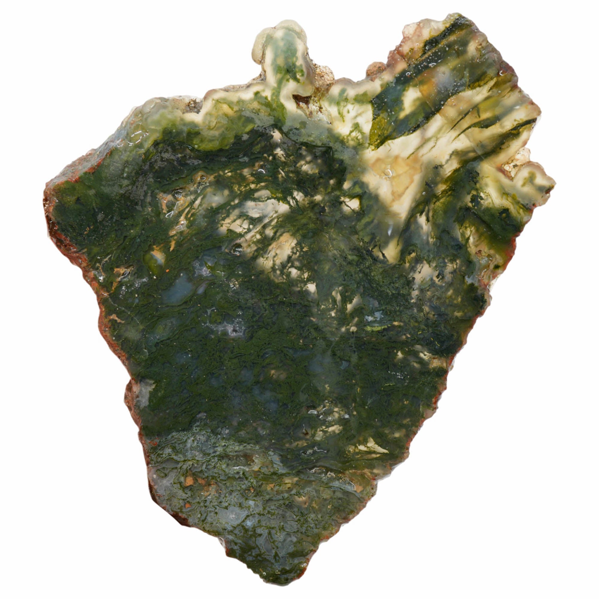 Maury Mountain Moss Agate Slab - Vivid Green Moss Translucent! #3985-Photo4