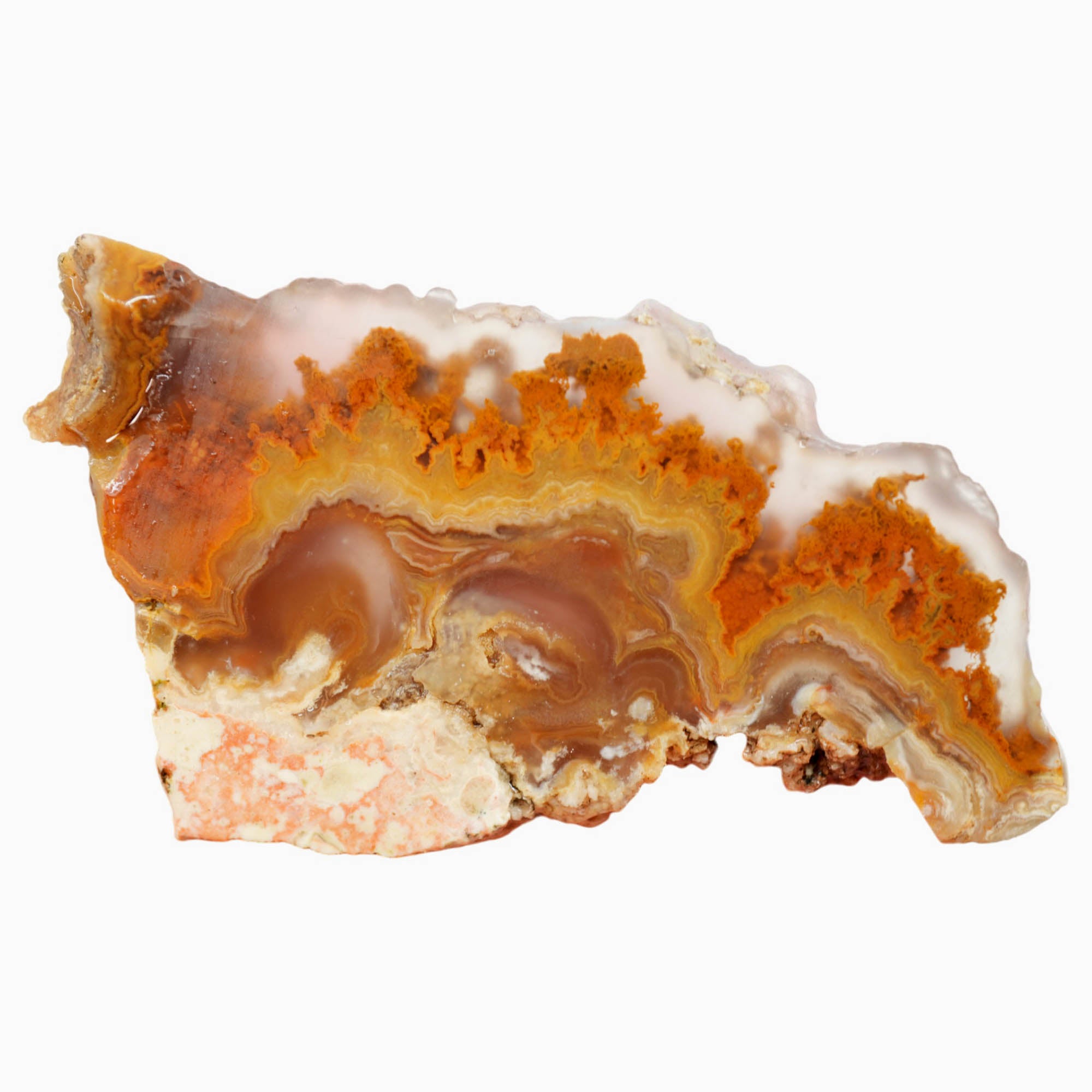 Lysite Agate Slab – Plume Moss Flowing River Wyoming Blizzard Stone #3987-Photo1