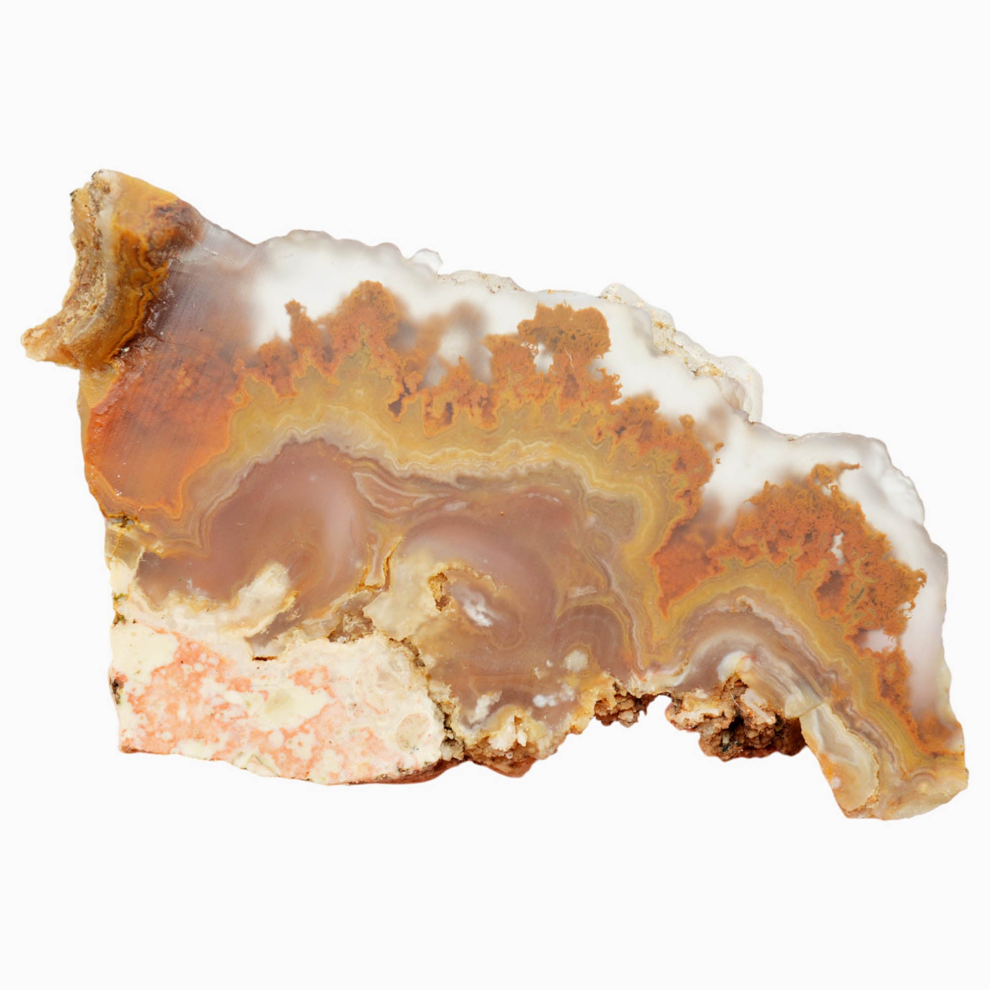 Lysite Agate Slab Dry – Plume Moss Flowing River Wyoming Blizzard Stone #3987-Photo5