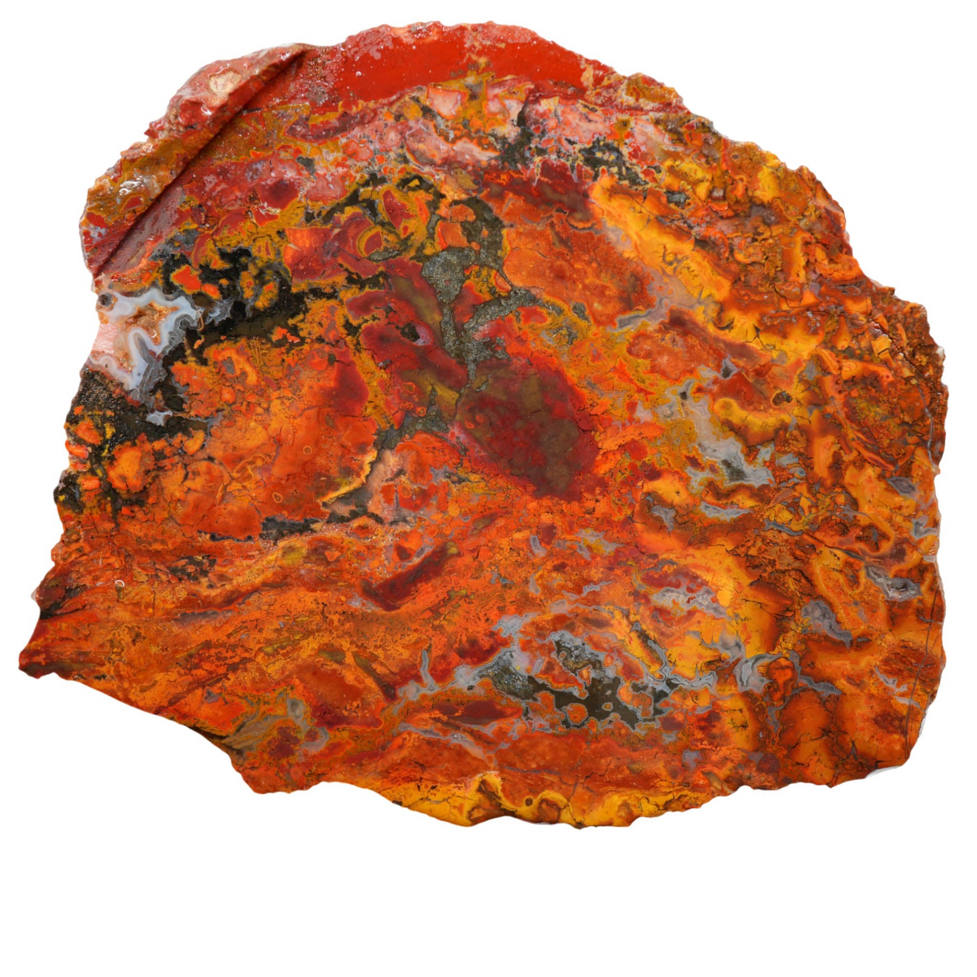 Mystery Jasper Slab - High Contrast Bright Colors - Nevada