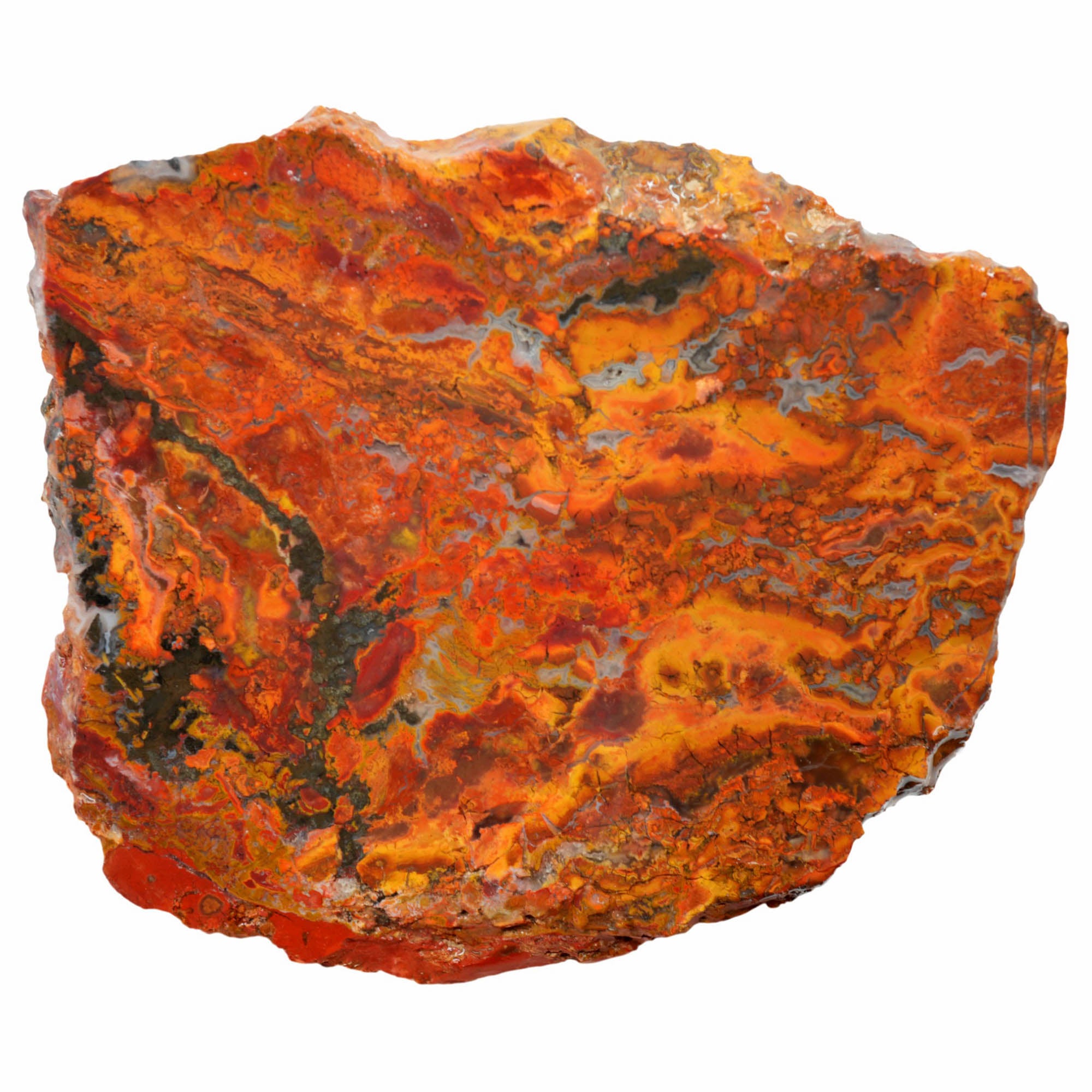 Mystery Jasper Slab - High Contrast Bright Colors Nevada #3988-Photo4