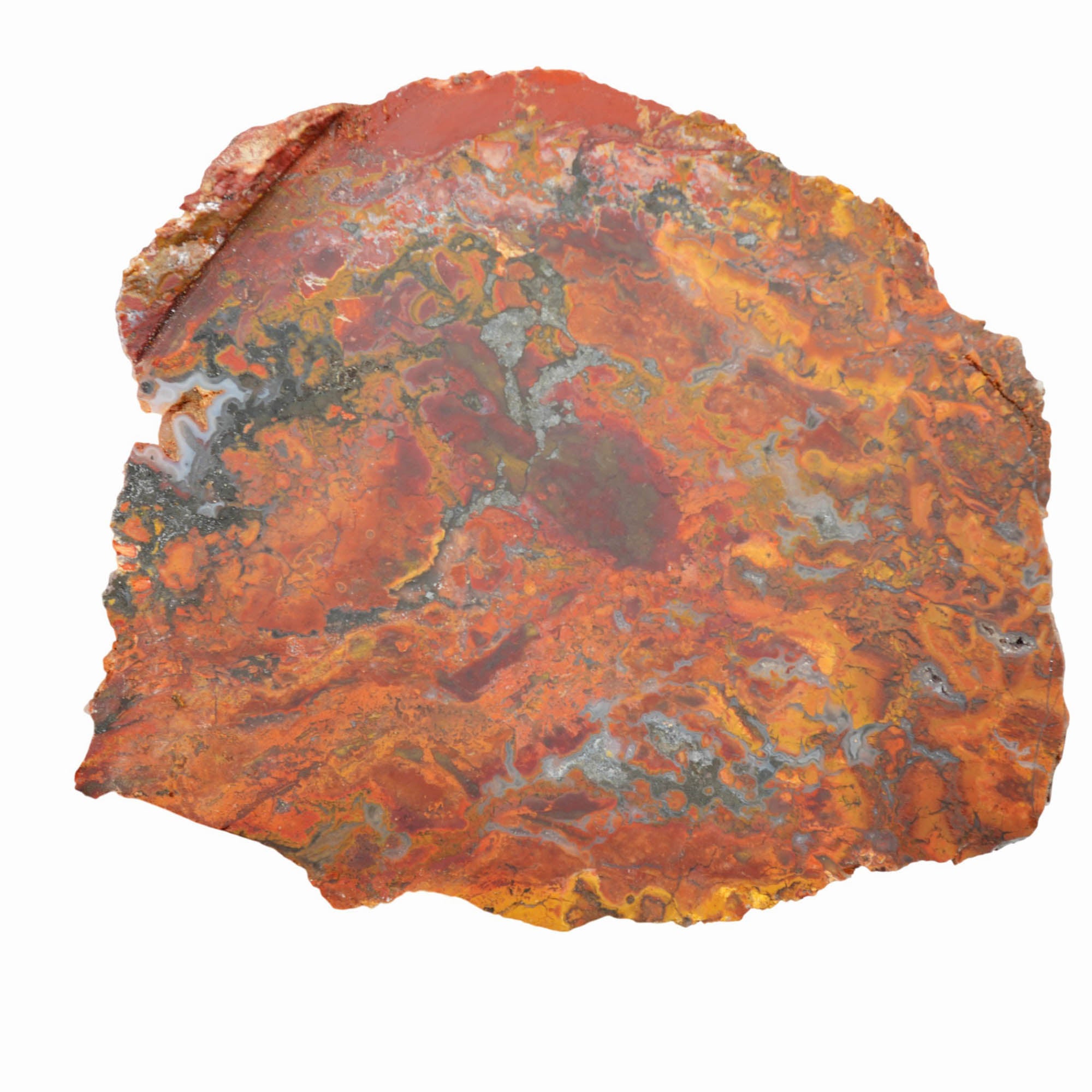 Mystery Jasper Slab Dry - High Contrast Bright Colors Nevada #3988-Photo5