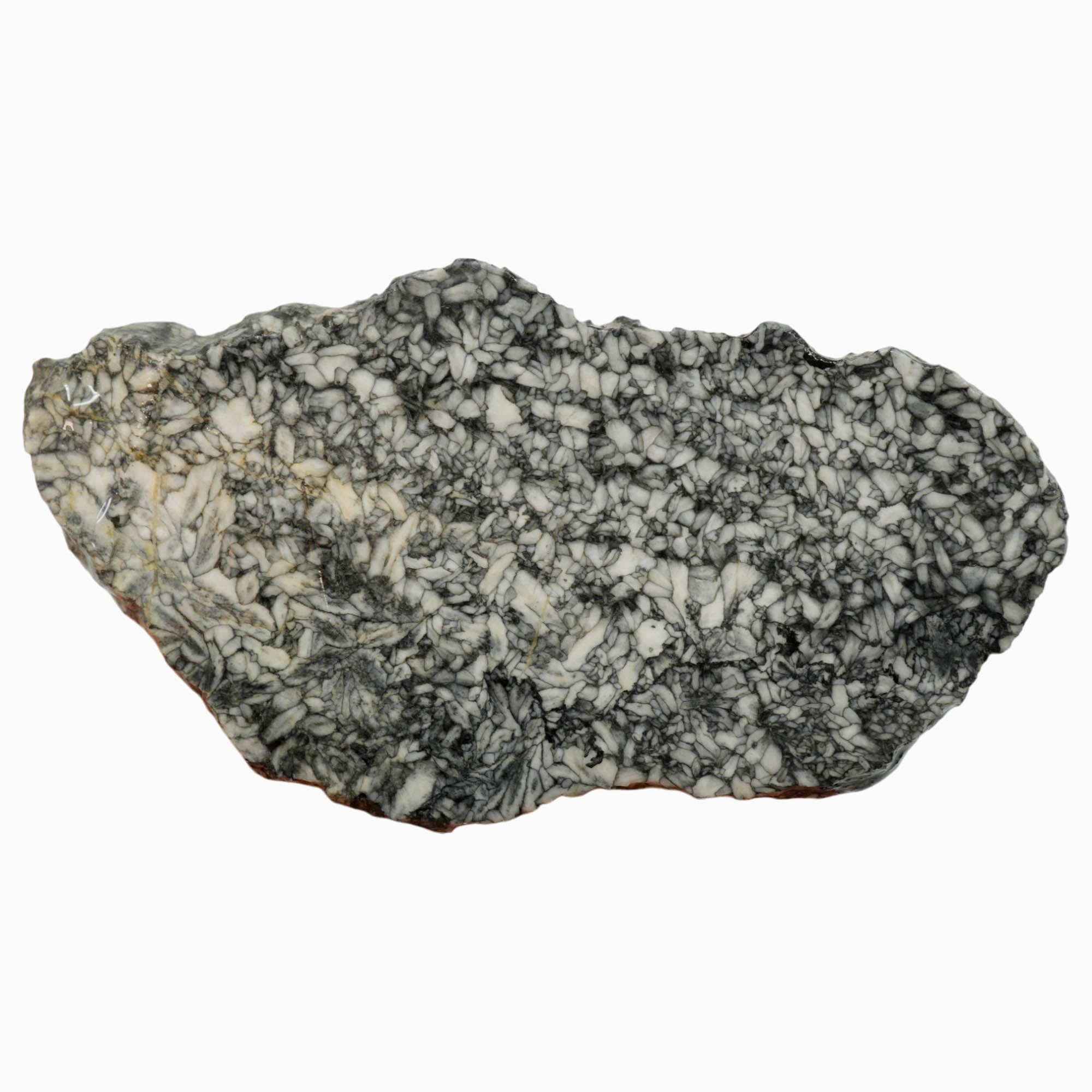 Pinolith Slab Black White Chatoyant Austrian Rare Metamorphic Stone #3989-Photo3