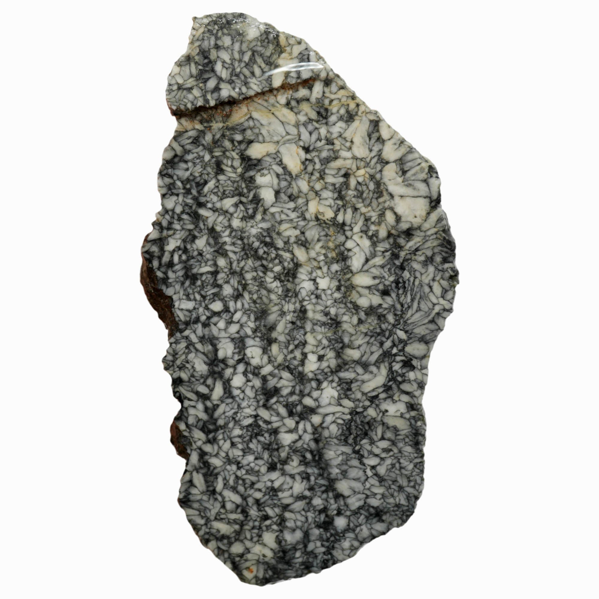 Pinolith Slab Black White Chatoyant Austrian Rare Metamorphic Stone #3989-Photo4