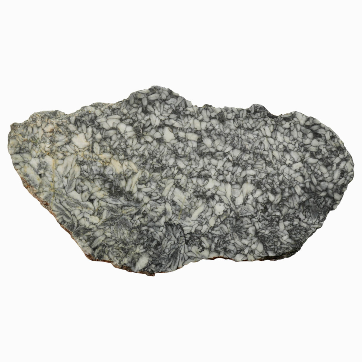 Chatoyant Line Pinolith Slab - Black on White Chatoyancy - Old Stock Austria
