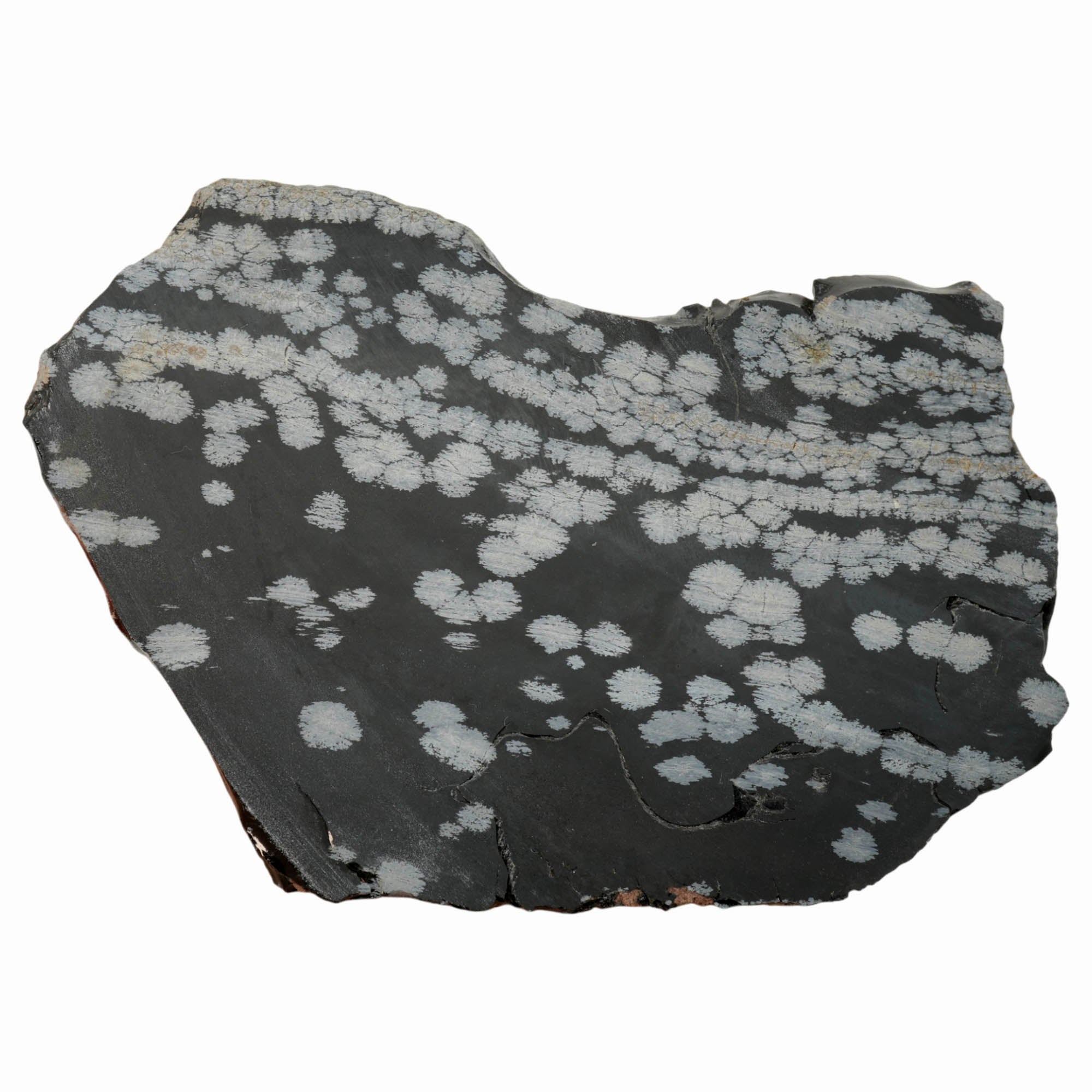 Snowflake Obsidian Slab Dry – Wavy Lines Scattered Snowflakes Utah #3991-Photo4