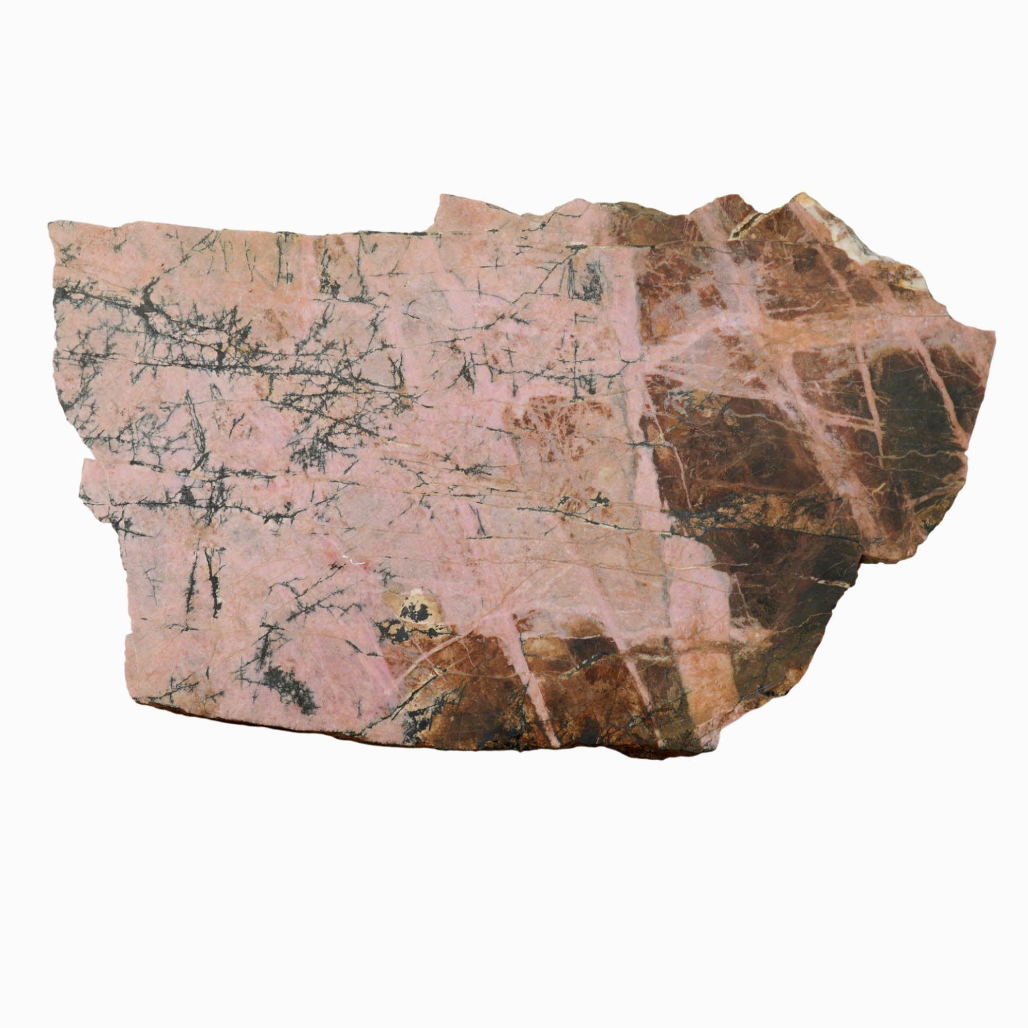 Rhodonite Slab Dry - Bubblegum Pink Black Dendritic Hematite Veins #3992-Photo4