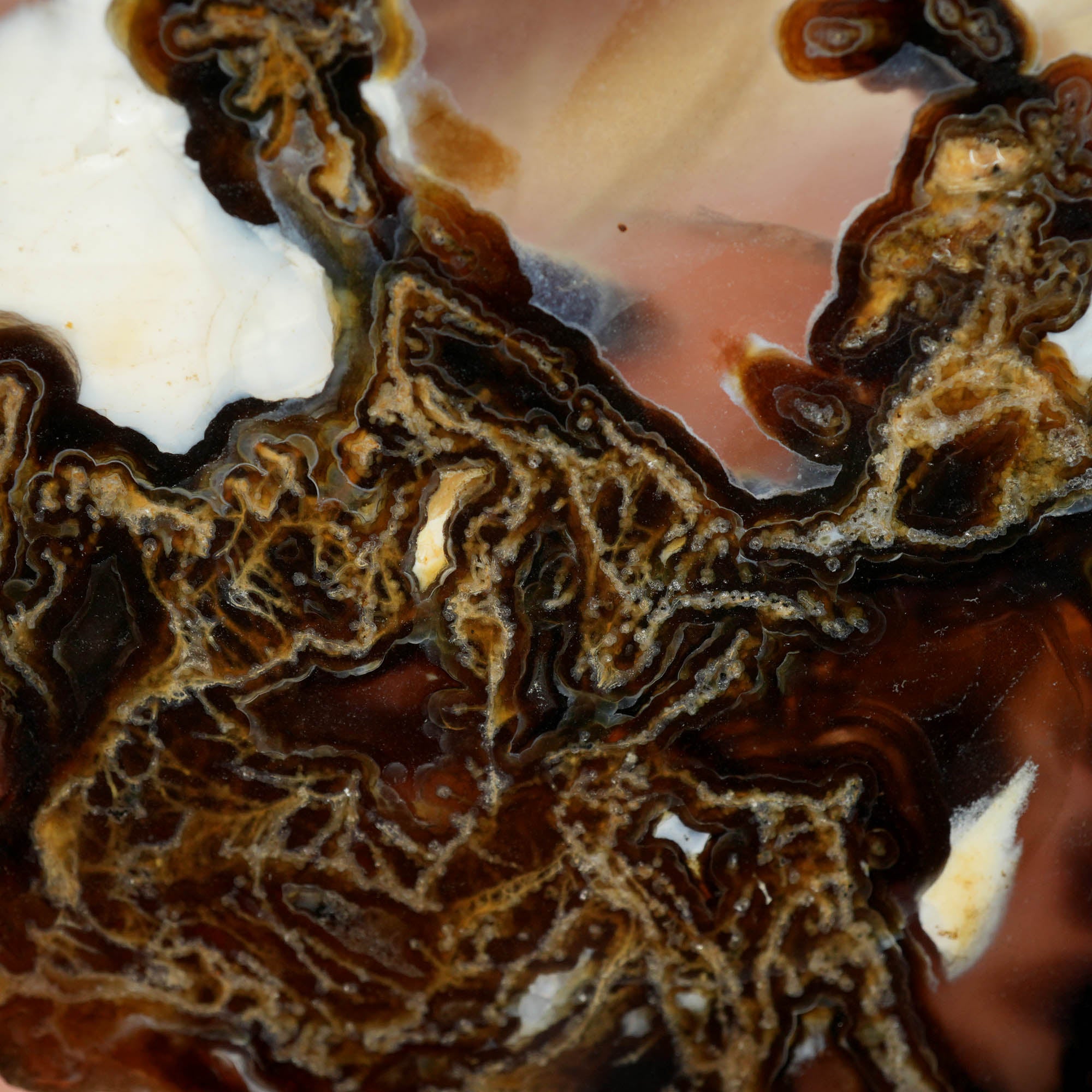 Mystery Moss Agate Slab - Black Moss Pattern Polished Antique #3993-2