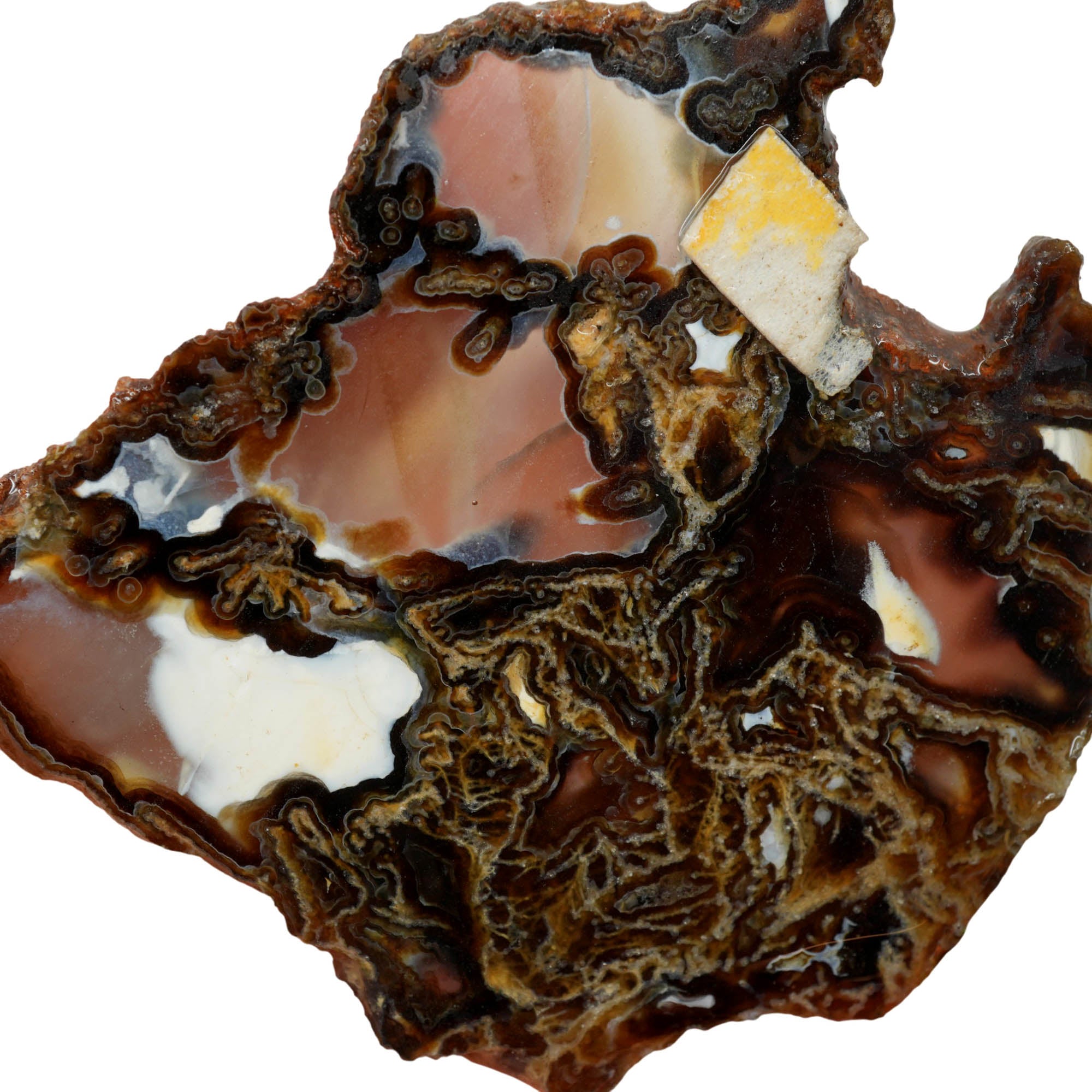 Mystery Moss Agate Slab - Black Moss Pattern Polished Antique #3993-3