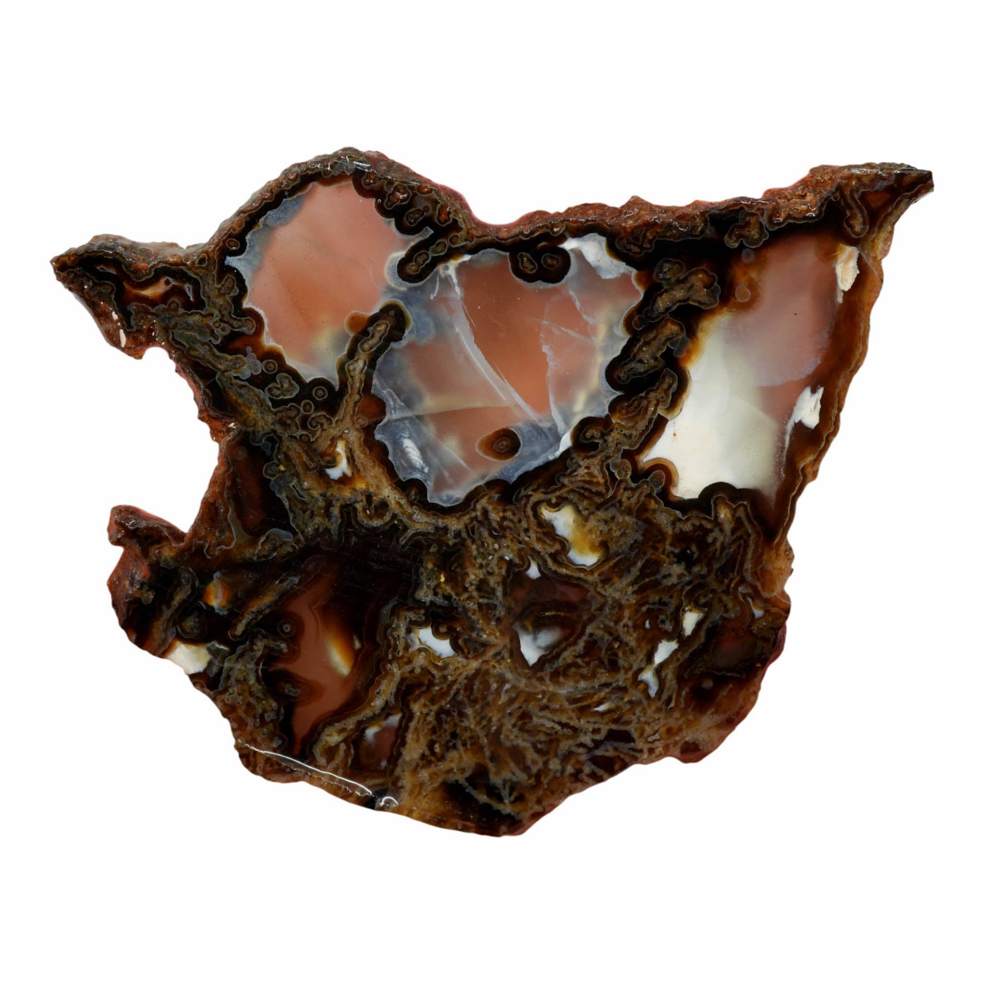 Mystery Moss Agate Slab - Black Moss Pattern Polished Antique #3993-4